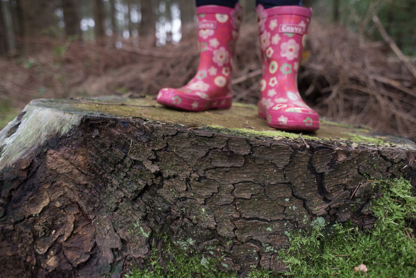 Nikon D610 sample photo. Girl, walking, forest photography