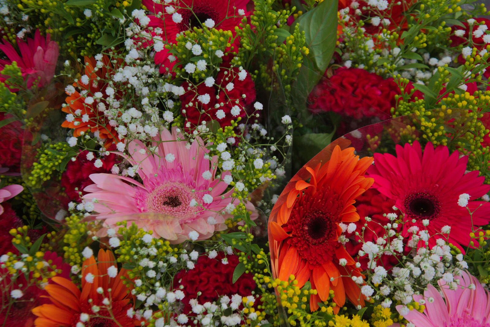 Nikon D3300 sample photo. Flowers, shopping, market photography