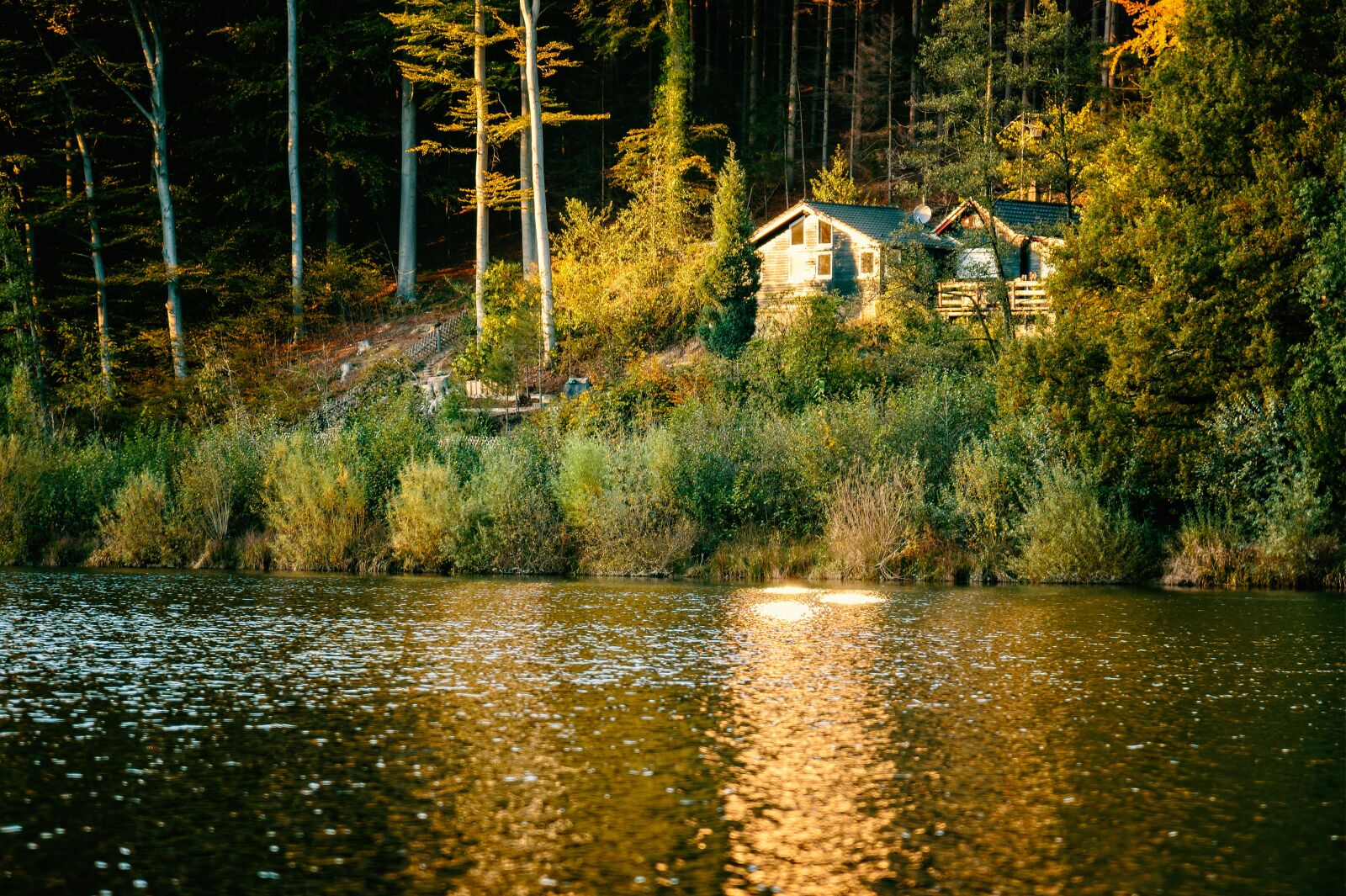 Nikon Z6 sample photo. House, lake, water photography