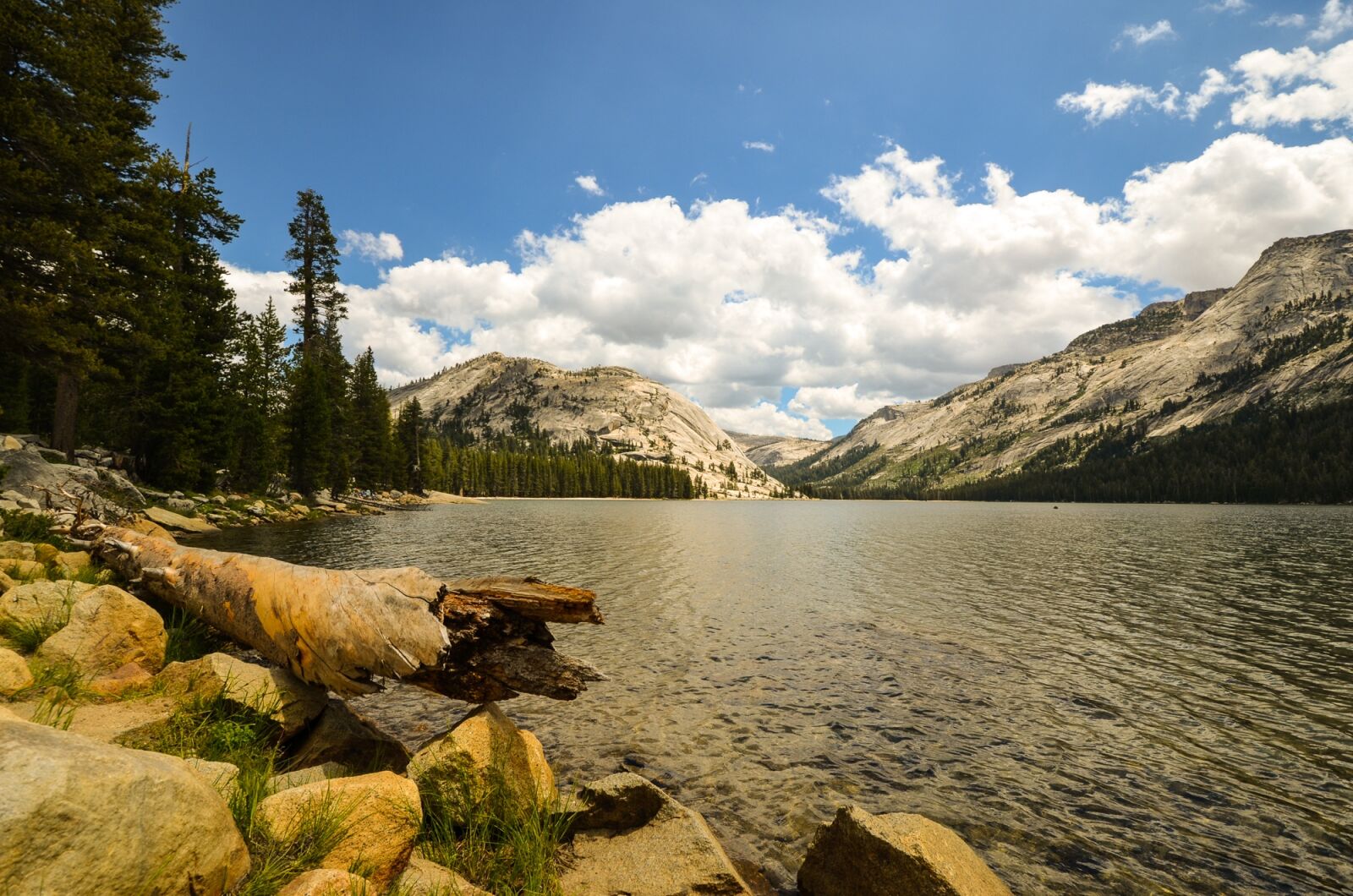 Nikon D5100 sample photo. California, usa, america photography