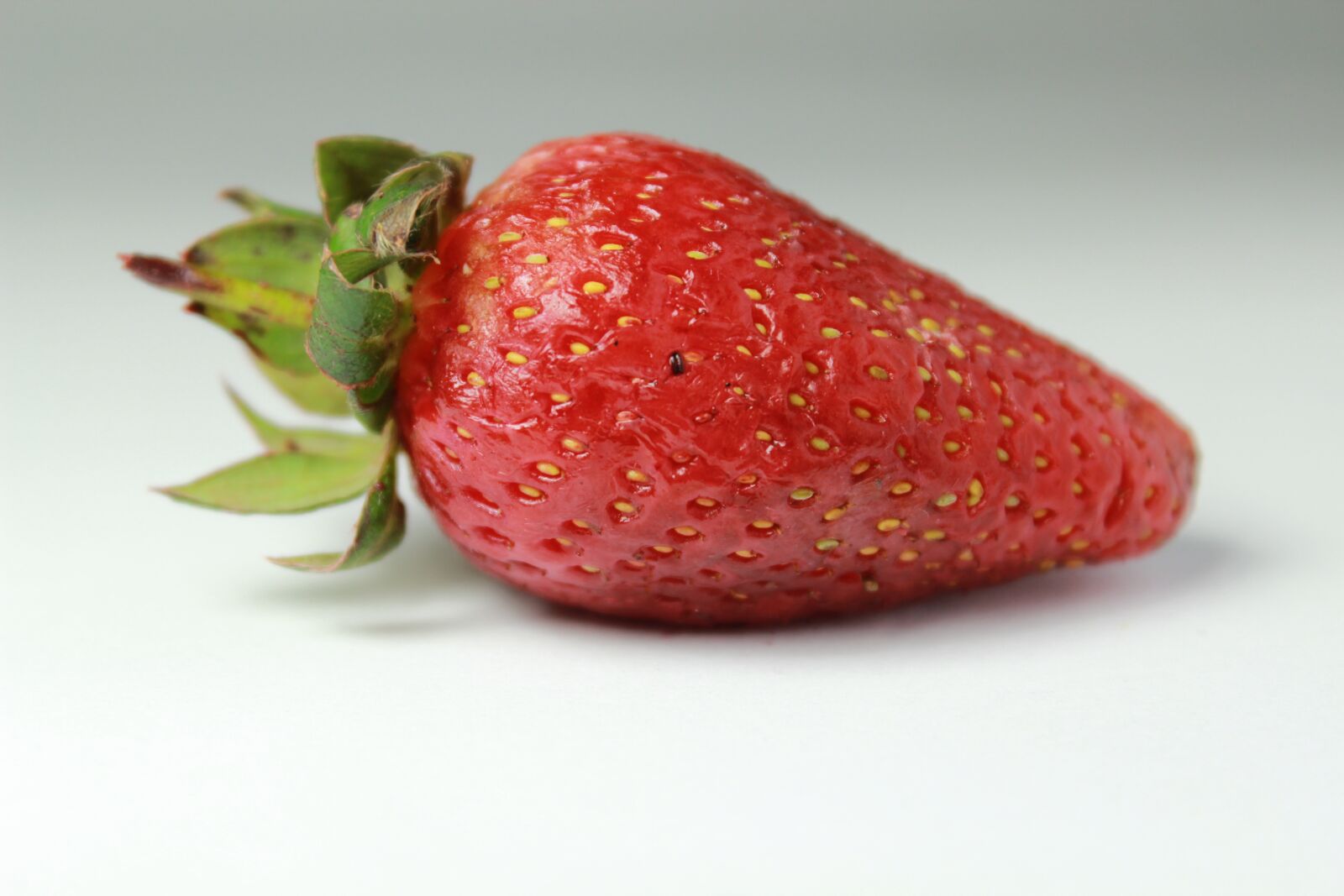 Canon EOS 600D (Rebel EOS T3i / EOS Kiss X5) sample photo. Big, network, strawberry photography