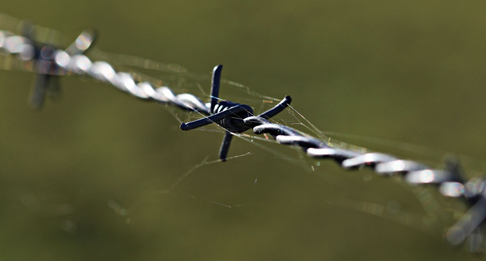 Canon EOS 80D sample photo. Barbed wire, fencing, caution photography