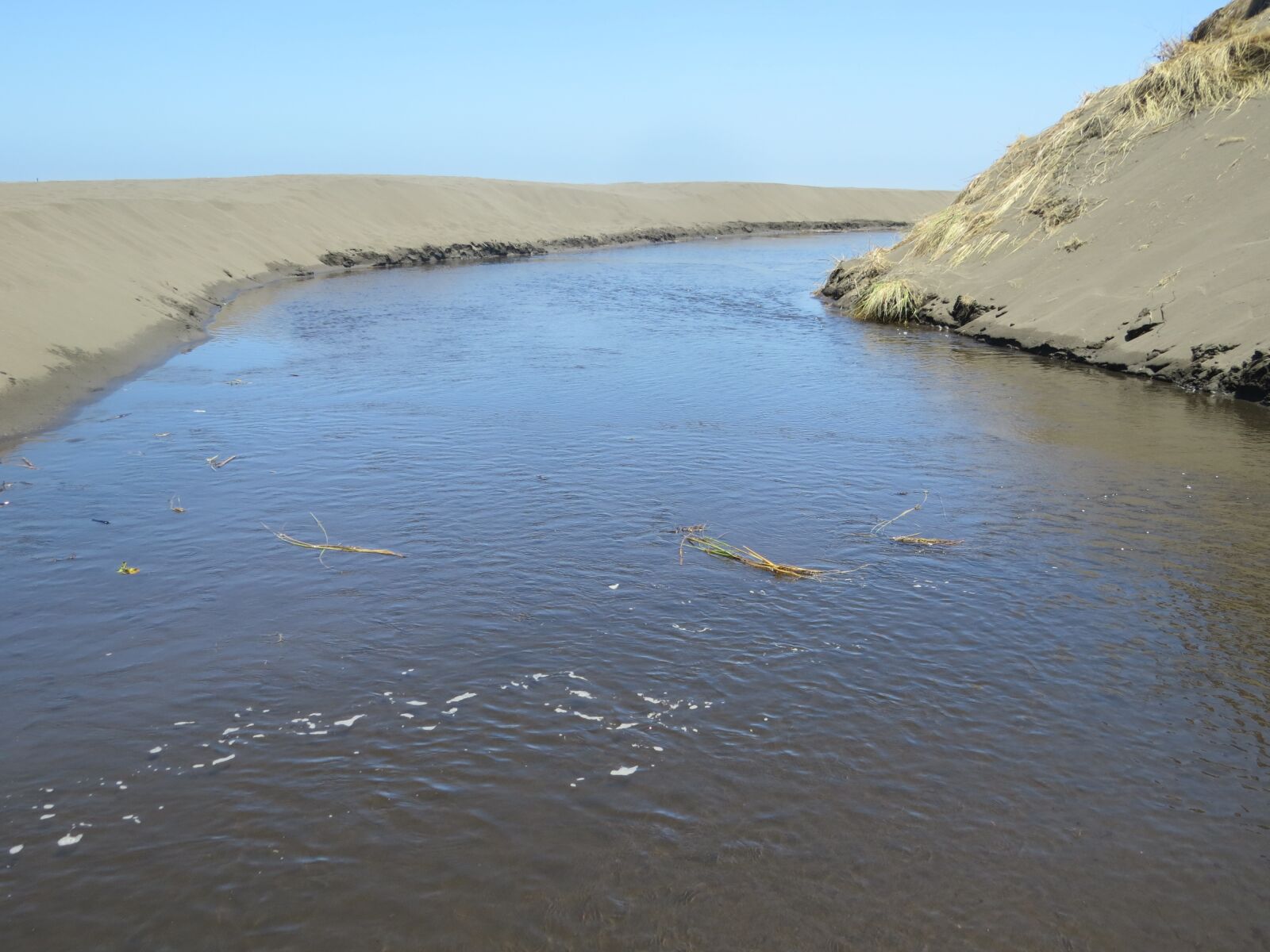 Canon PowerShot SX50 HS sample photo. Playa, chile, cañete photography