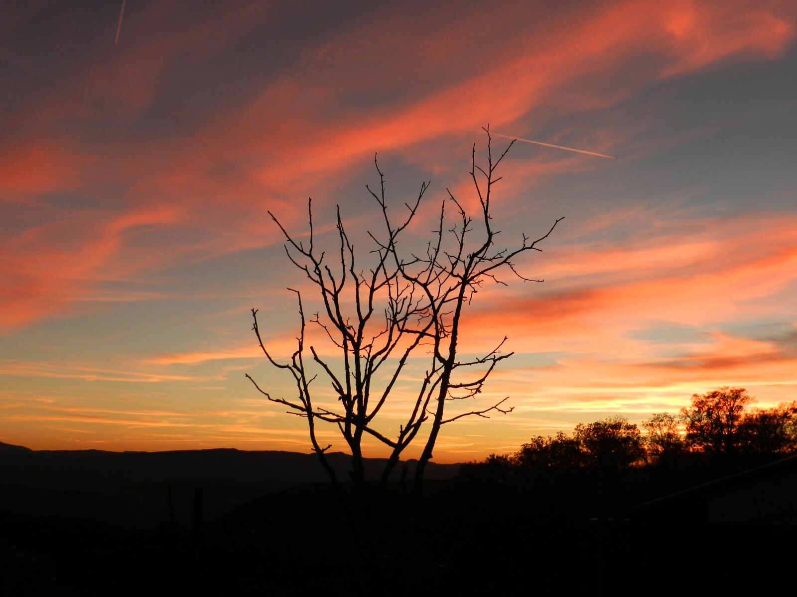 Nikon Coolpix P500 sample photo. Sunset, evening sky, tree photography