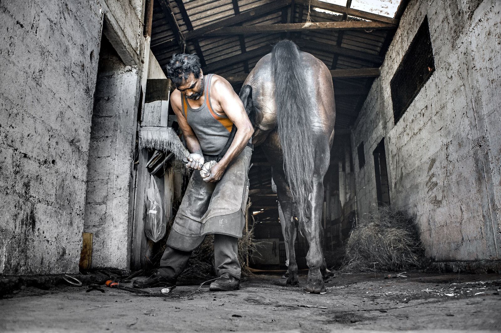 Nikon D3S sample photo. Horse, equestrian, farm photography