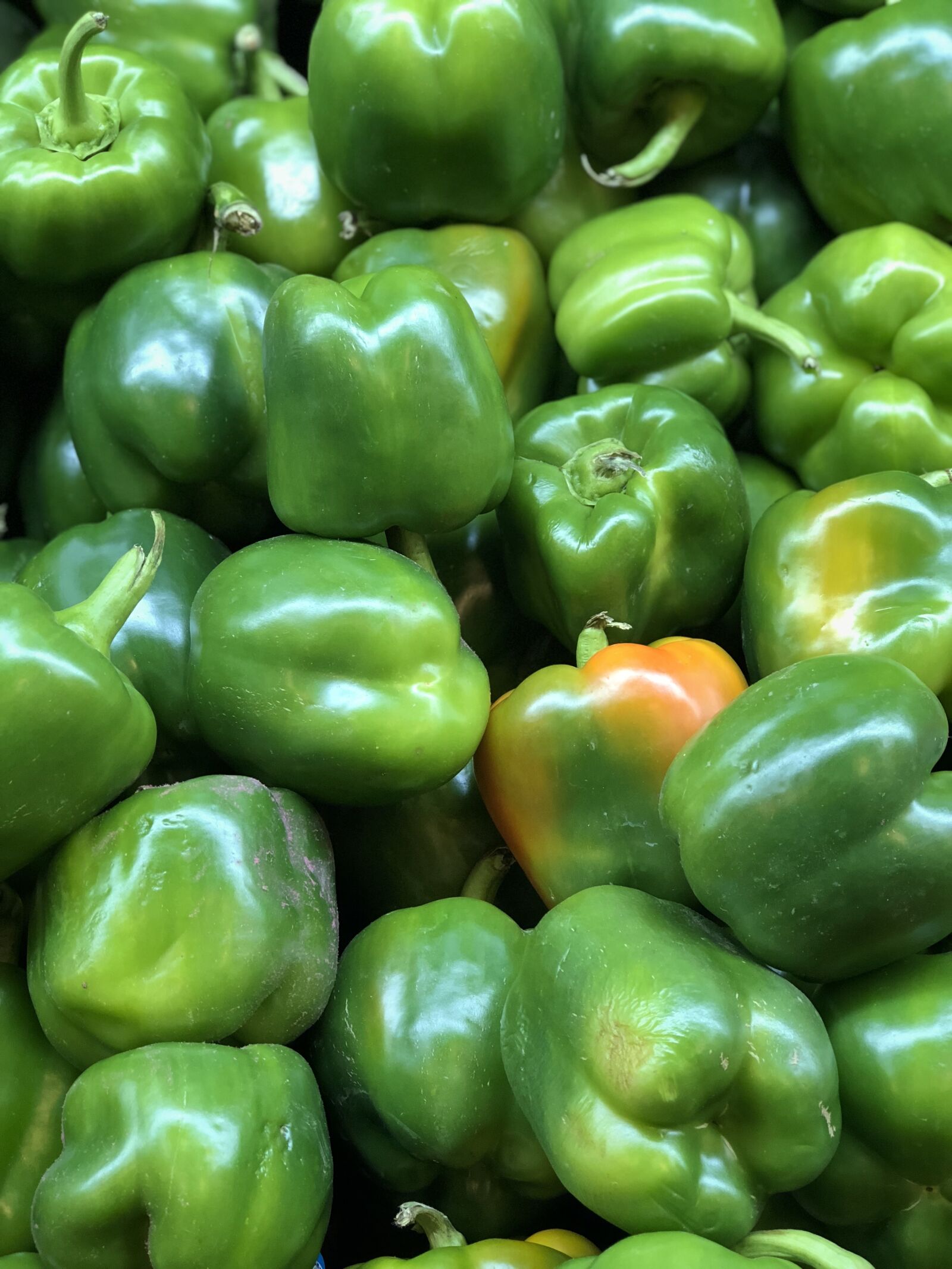 Apple iPhone 8 Plus sample photo. Bell, pepper, green photography