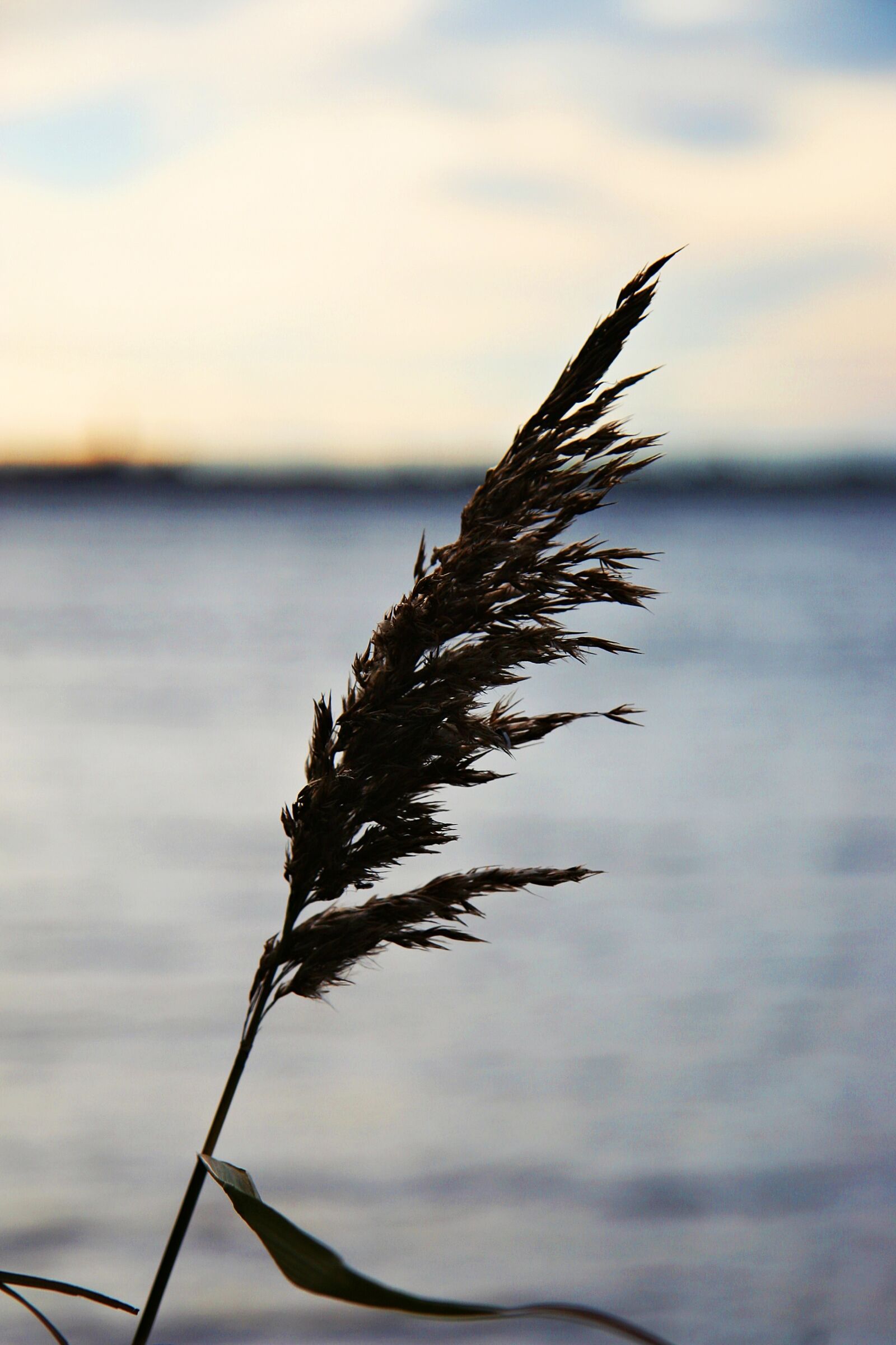 Canon EOS 20D sample photo. Lake, water, nature photography
