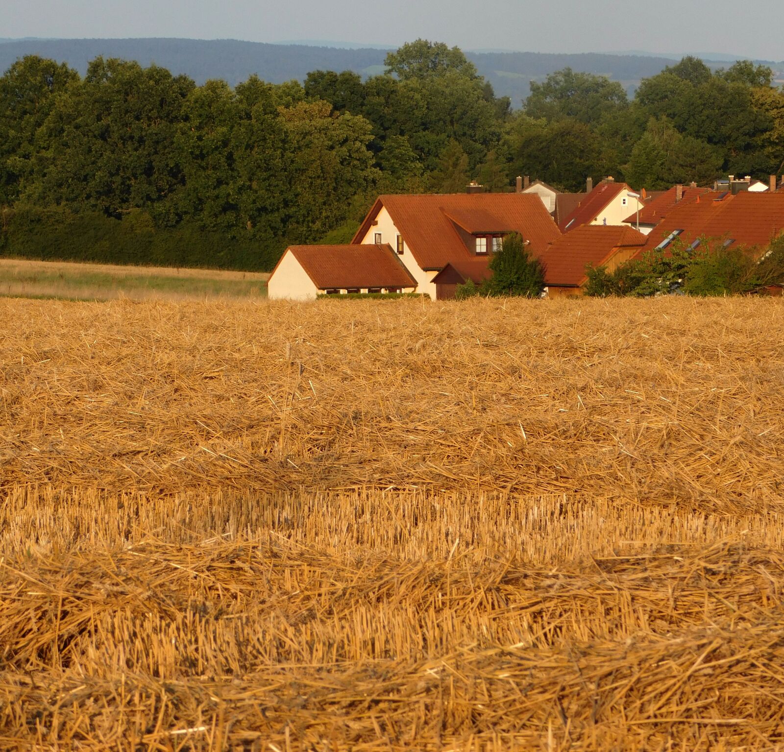 Nikon Coolpix L840 sample photo. Field, houses, arable photography