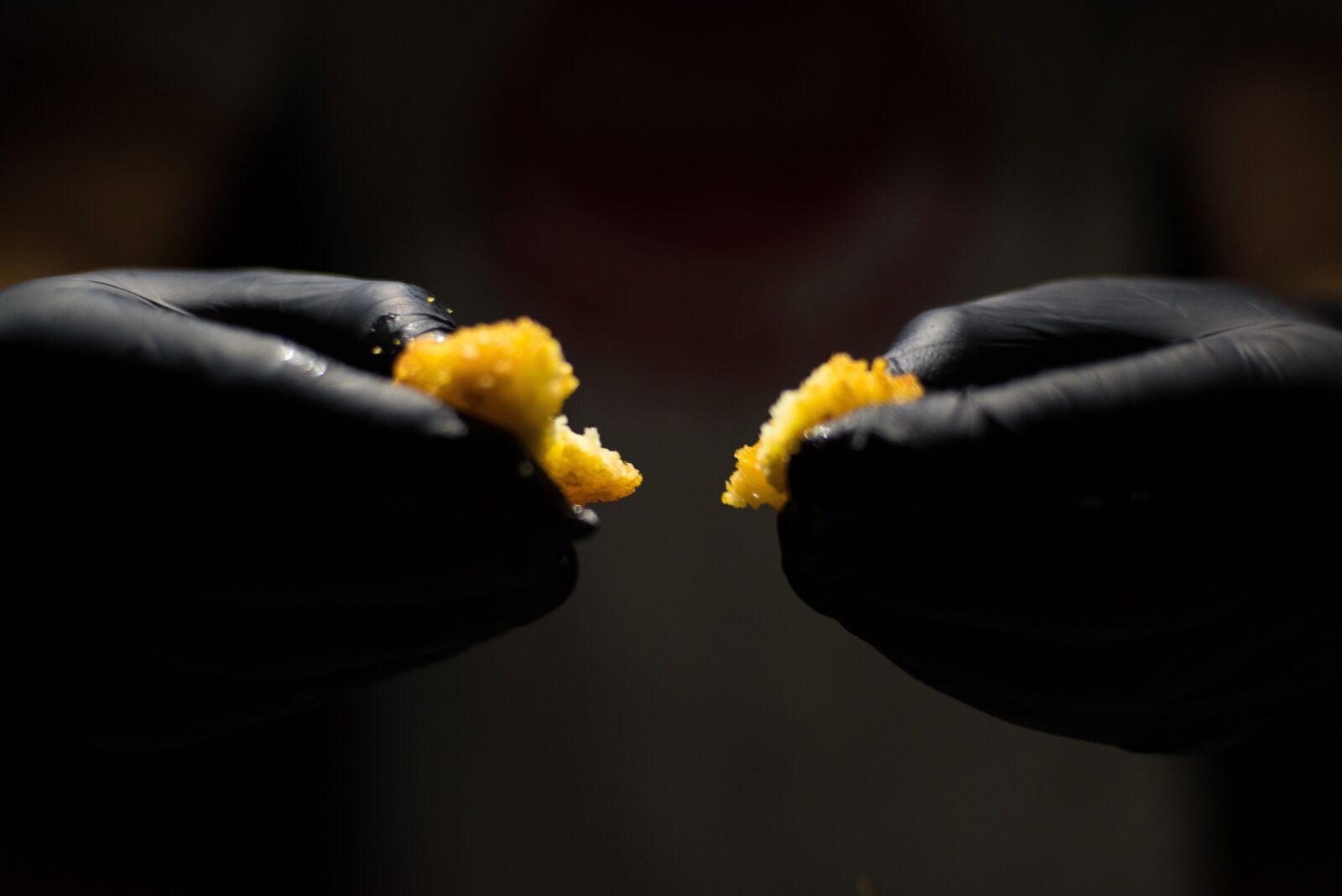 Nikon D750 sample photo. Cheese, gloves, fry photography
