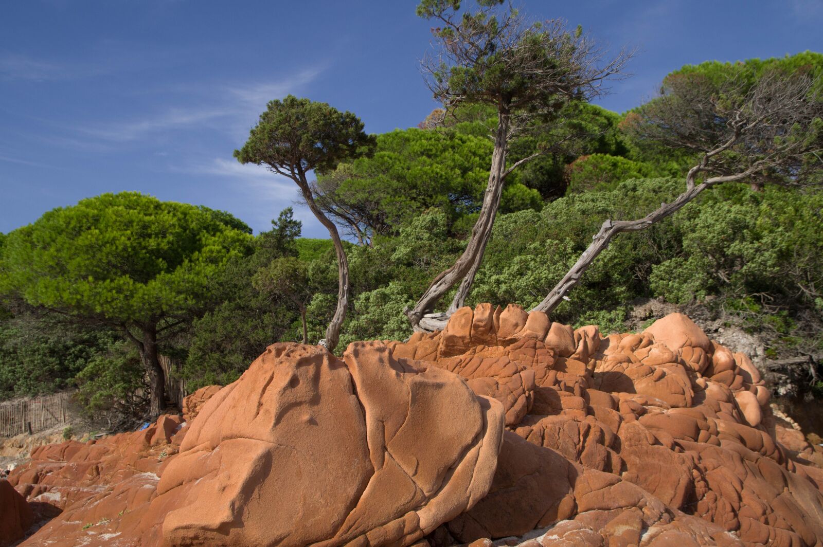 Pentax KP sample photo. Corsican, pine, rocks photography