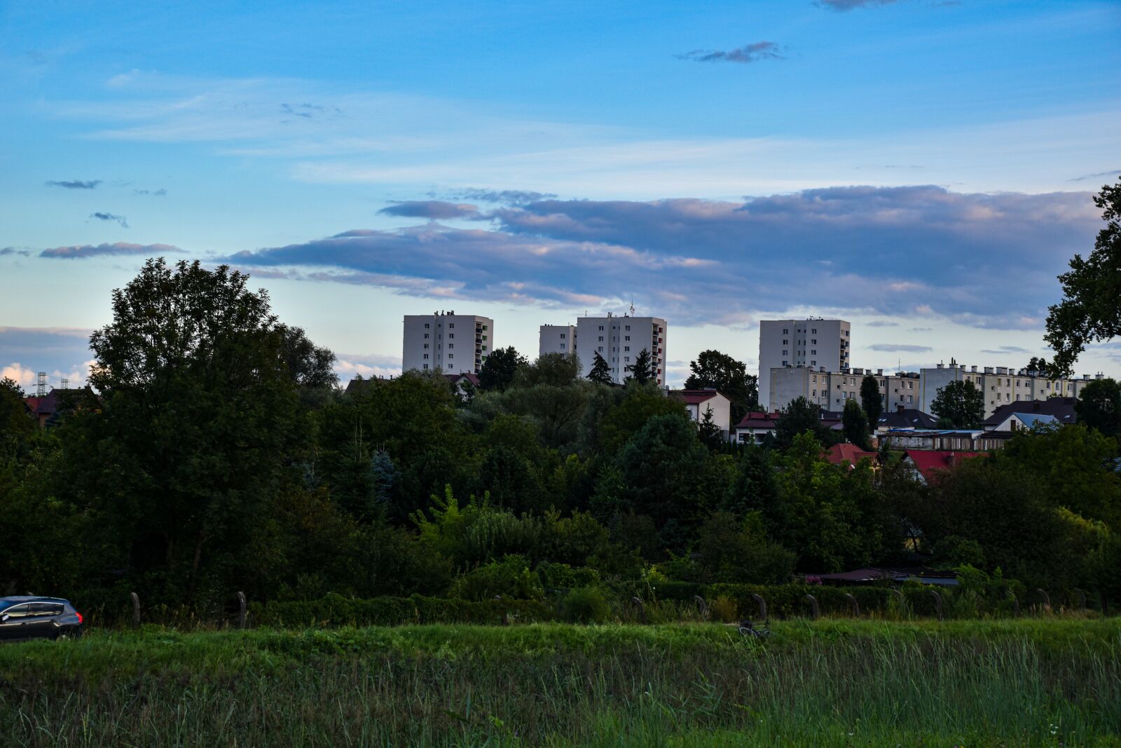 Nikon D3500 sample photo. City, sky, grass photography