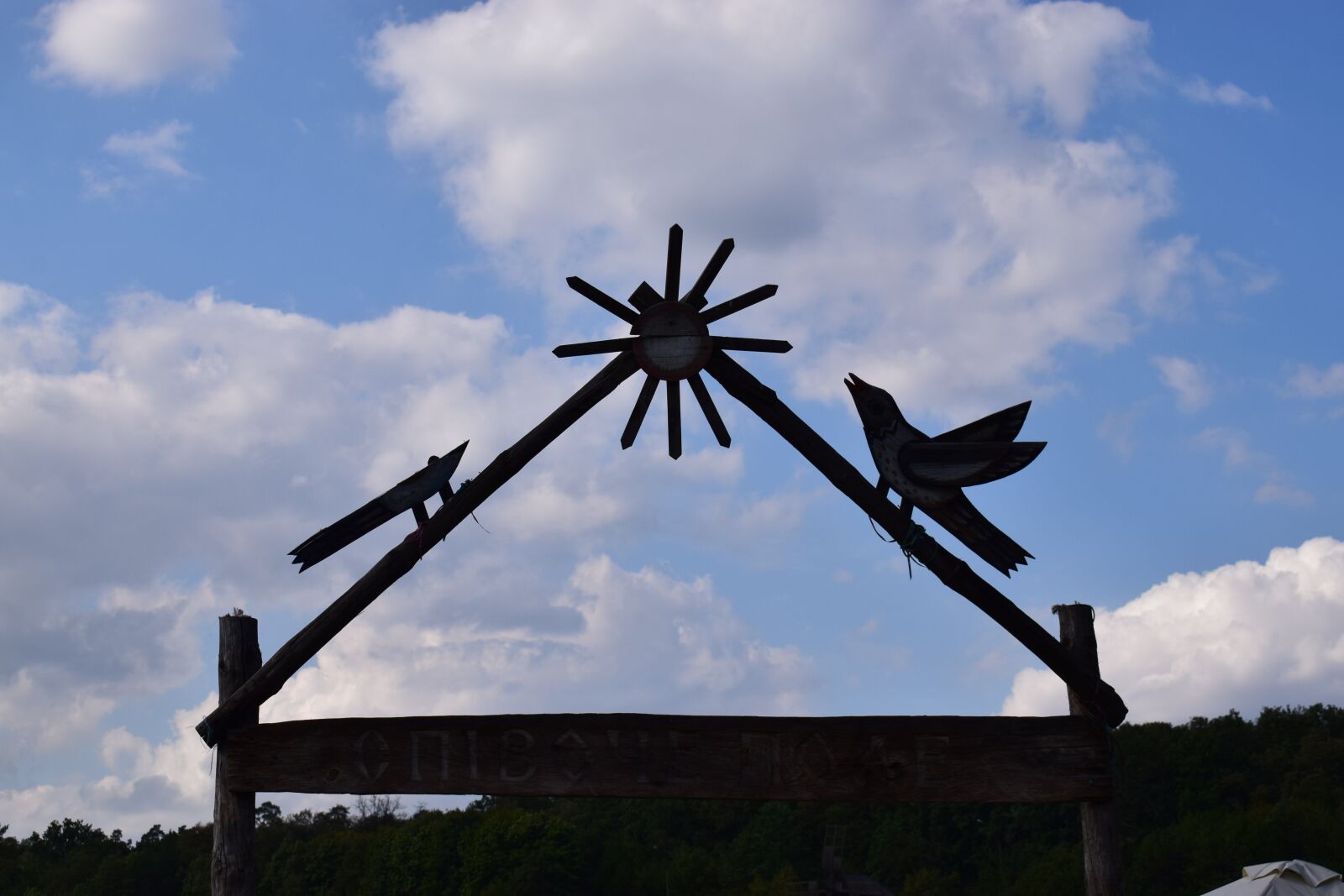 Nikon D3300 sample photo. Ukraine, singing field, kiev photography