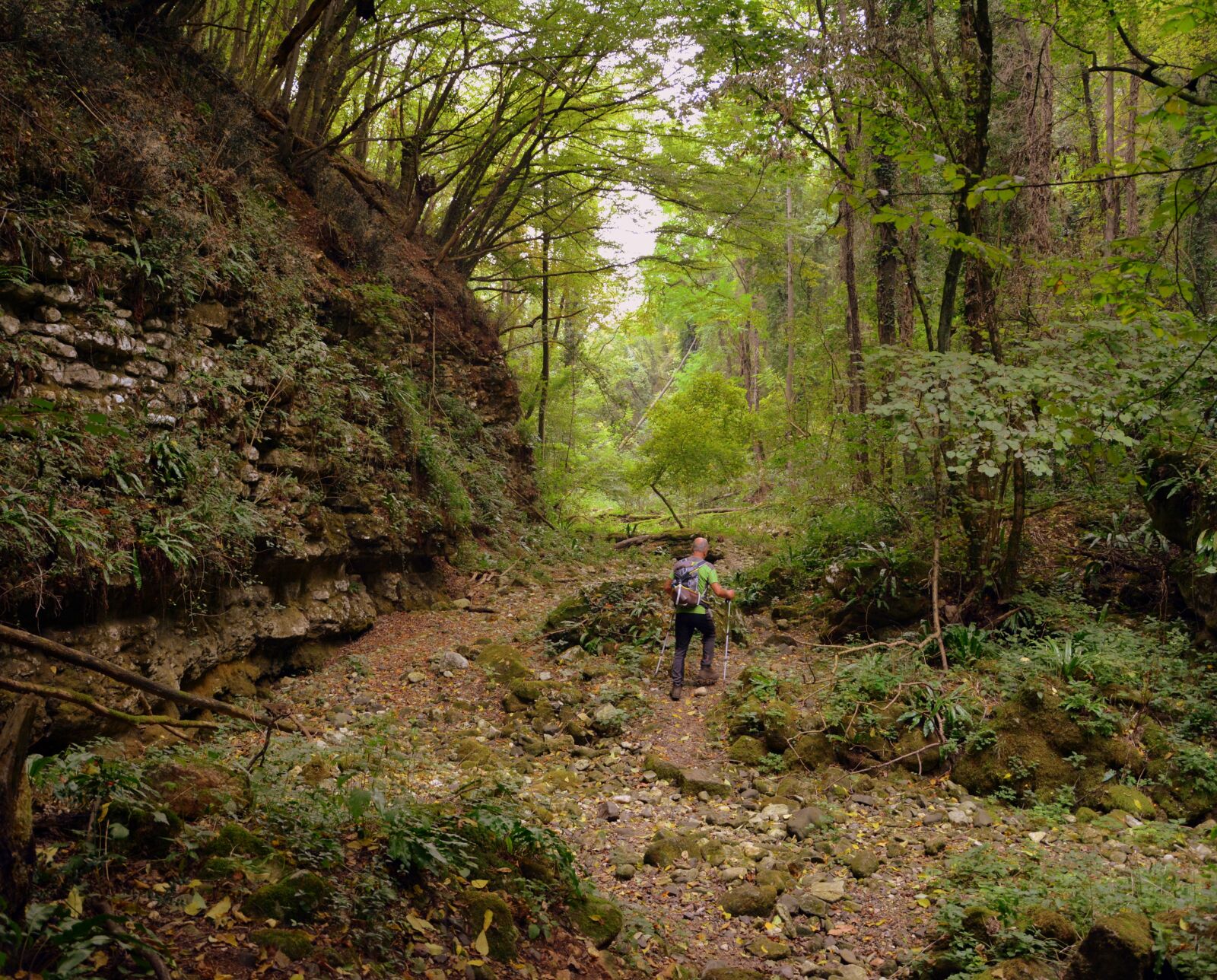 Nikon D7100 sample photo. Excursion, forest, val borago photography