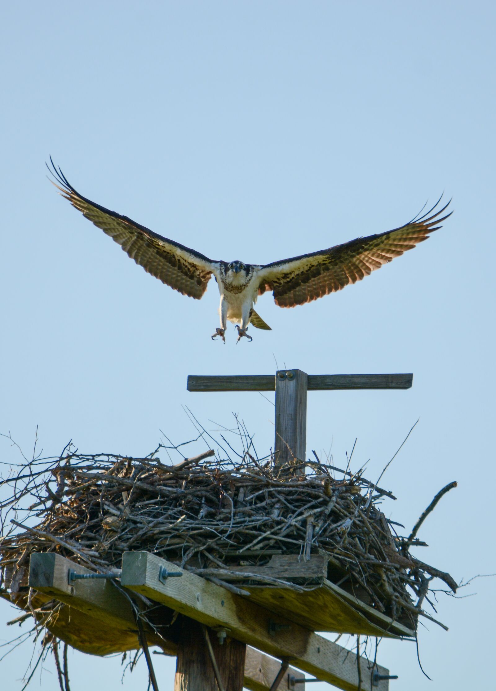 Nikon D7100 sample photo