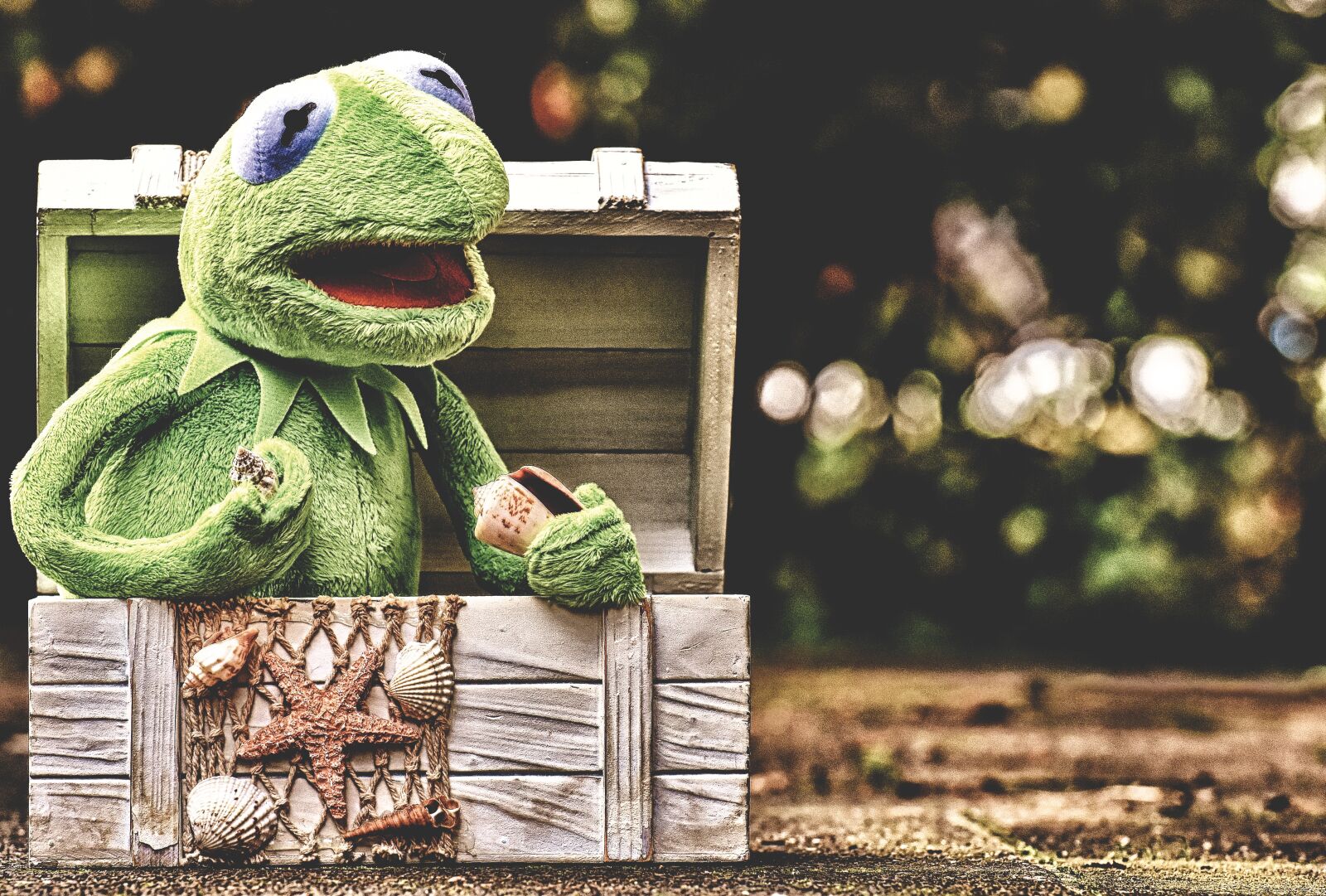 Nikon D7200 sample photo. Kermit, frog, chest photography