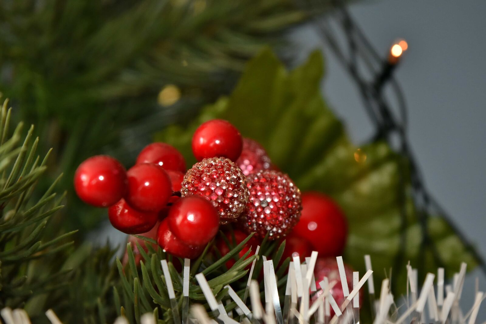 Nikon D5500 sample photo. Christmas tree, tree, shining photography