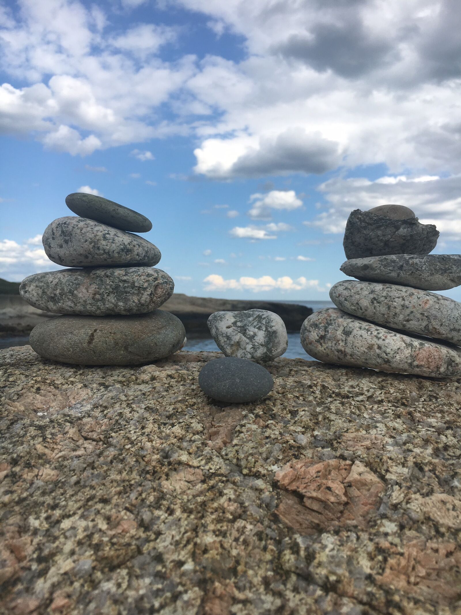 iPhone 6s back camera 4.15mm f/2.2 sample photo. Cliff, walk, newport, ri photography