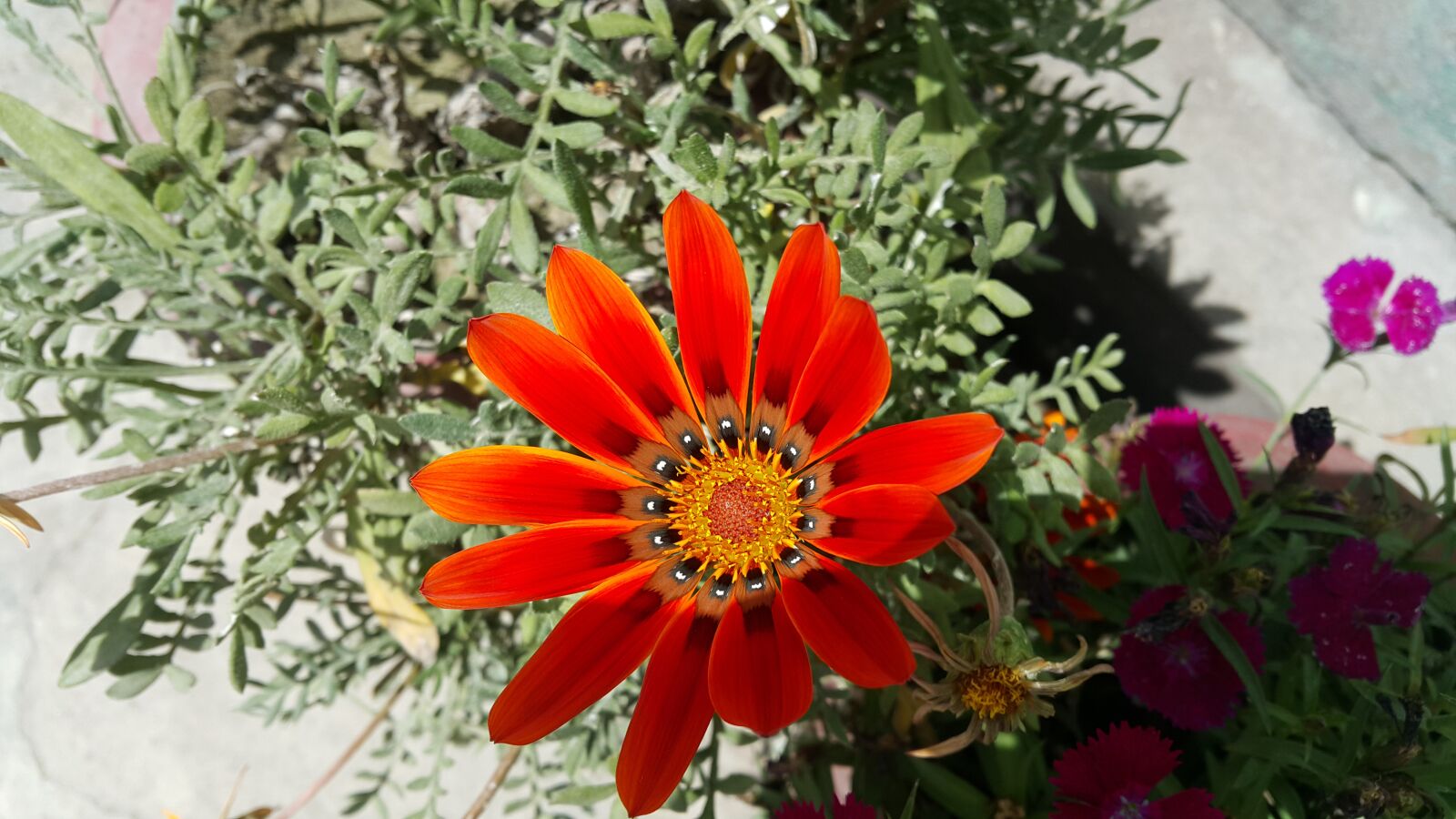 Samsung Galaxy Note4 sample photo