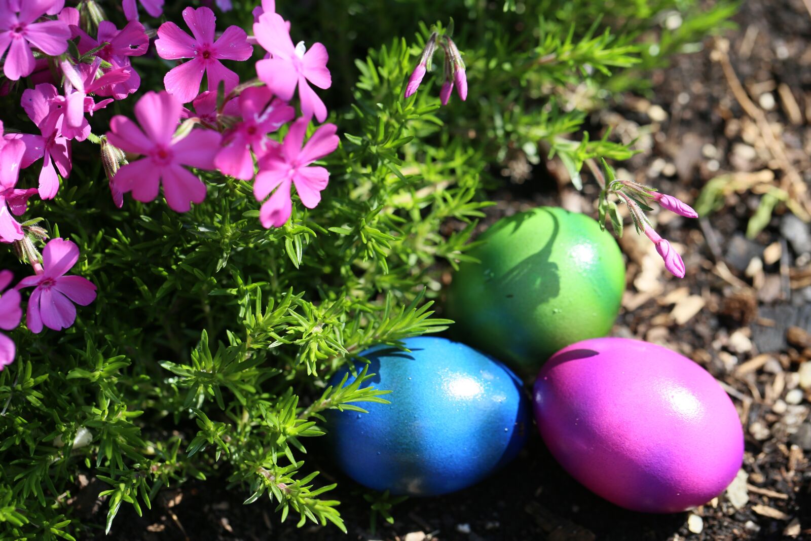 Canon EF 100mm F2.8L Macro IS USM sample photo. Easter, easter eggs, colorful photography