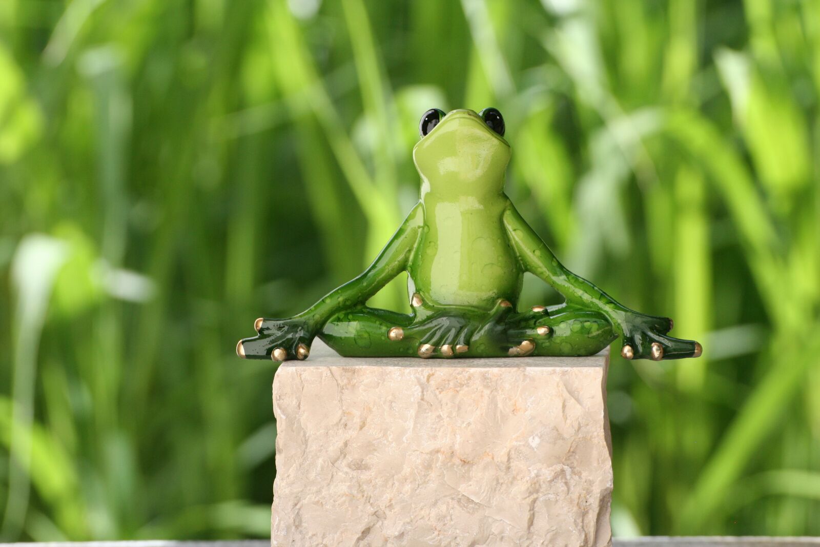 Canon EOS 350D (EOS Digital Rebel XT / EOS Kiss Digital N) sample photo. Yoga, frog, figure photography