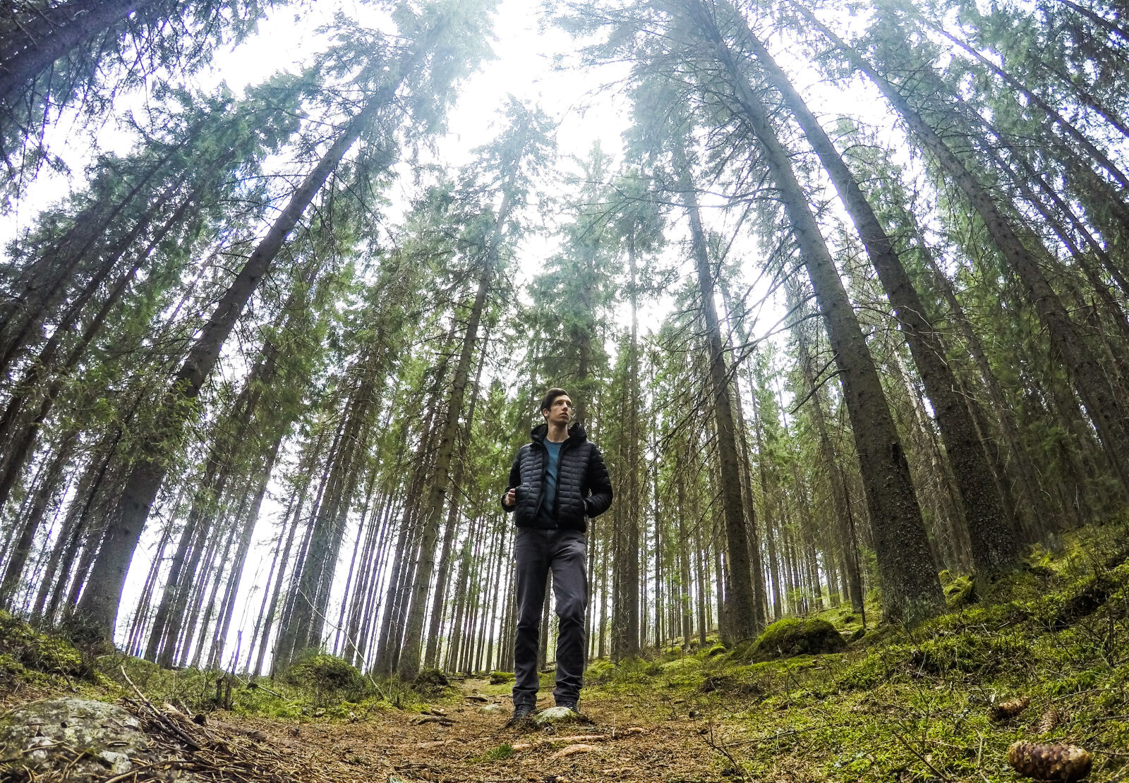GoPro HERO4 Silver sample photo. Beautiful, grass, green, inspiration photography