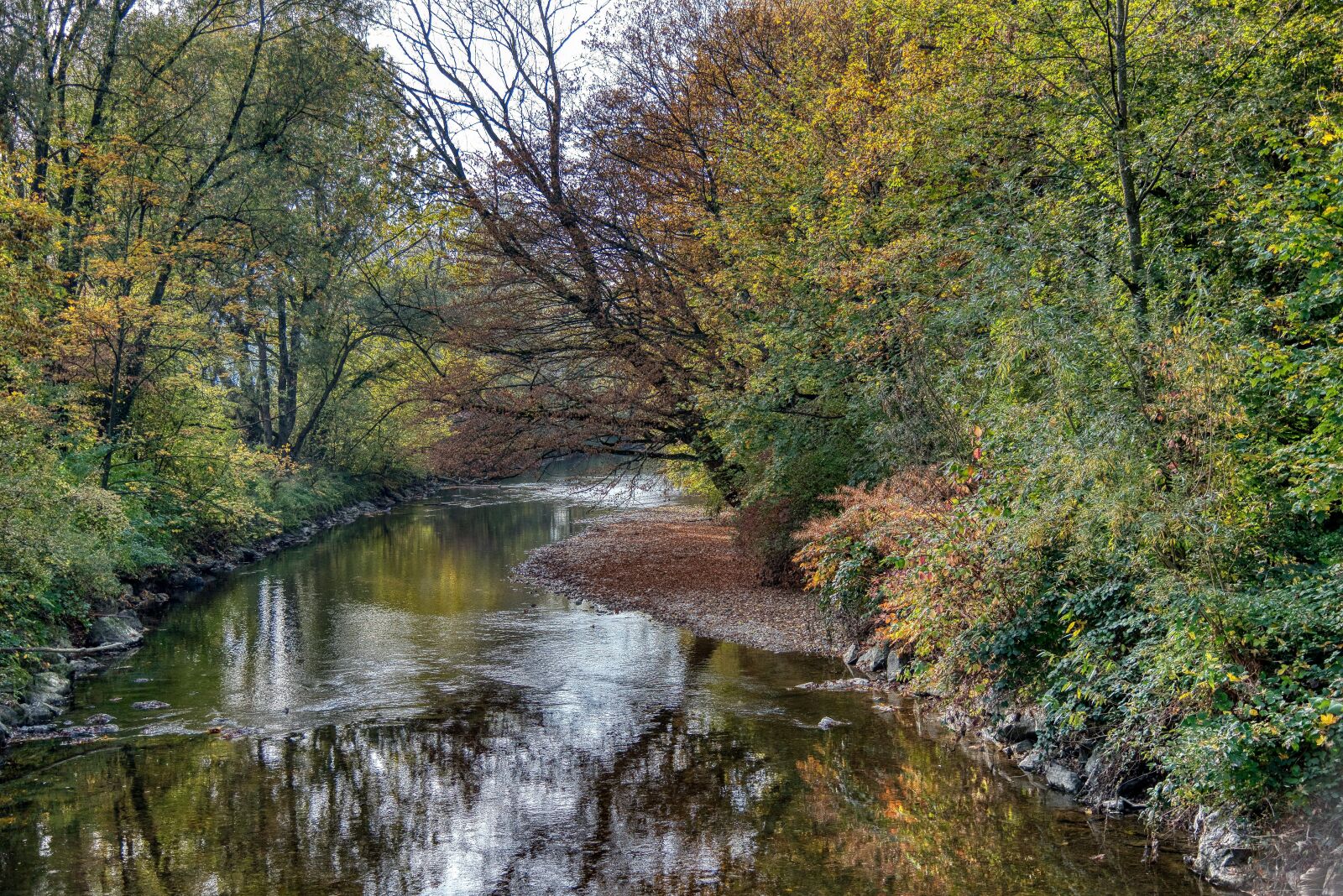 Nikon D750 sample photo. Autumn, season, river photography