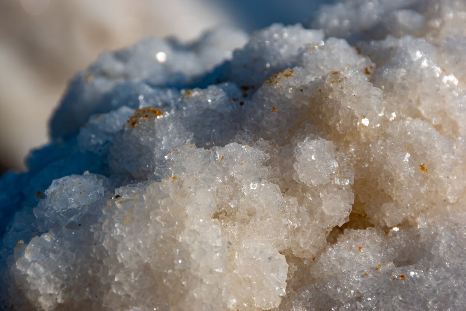 Nikon D5600 sample photo. Salt, earth, nature photography