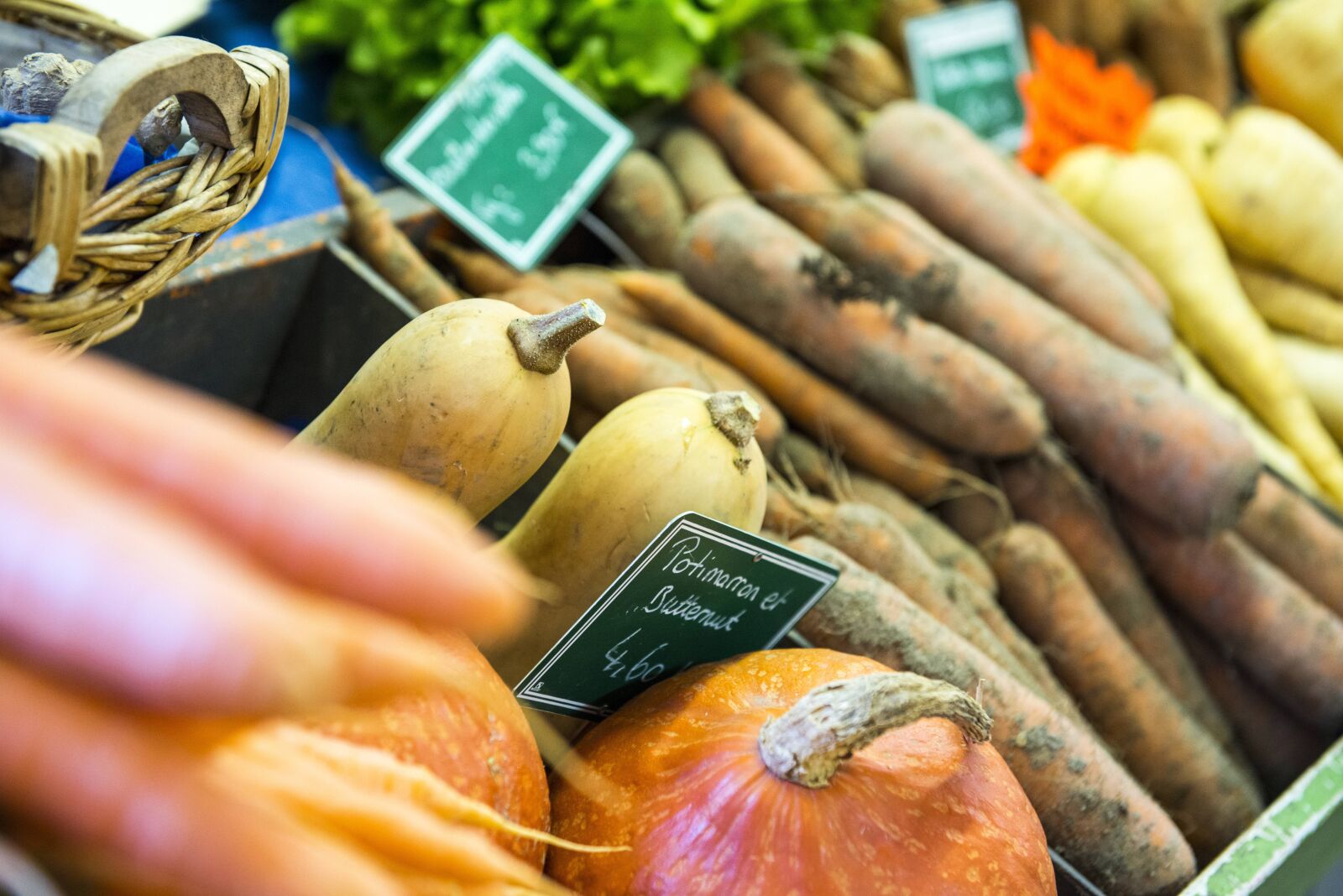 Nikon D800 sample photo. Vegetables, fall, squash photography