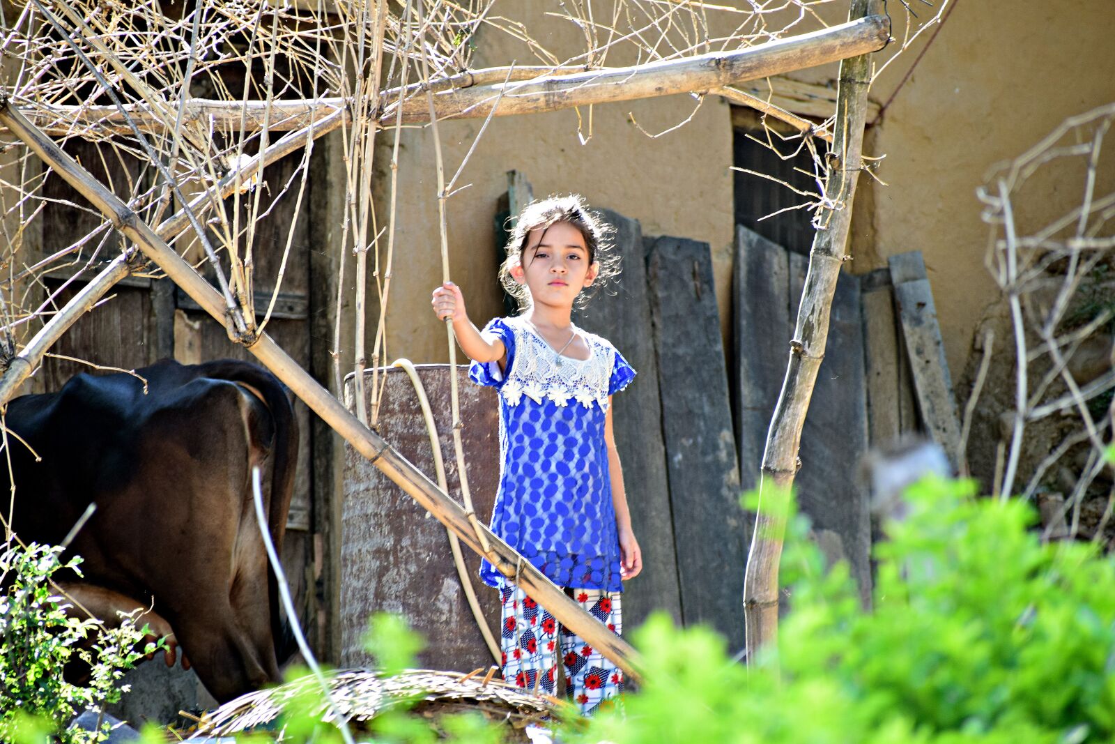 Nikon D3300 sample photo. Cute, girl, child photography