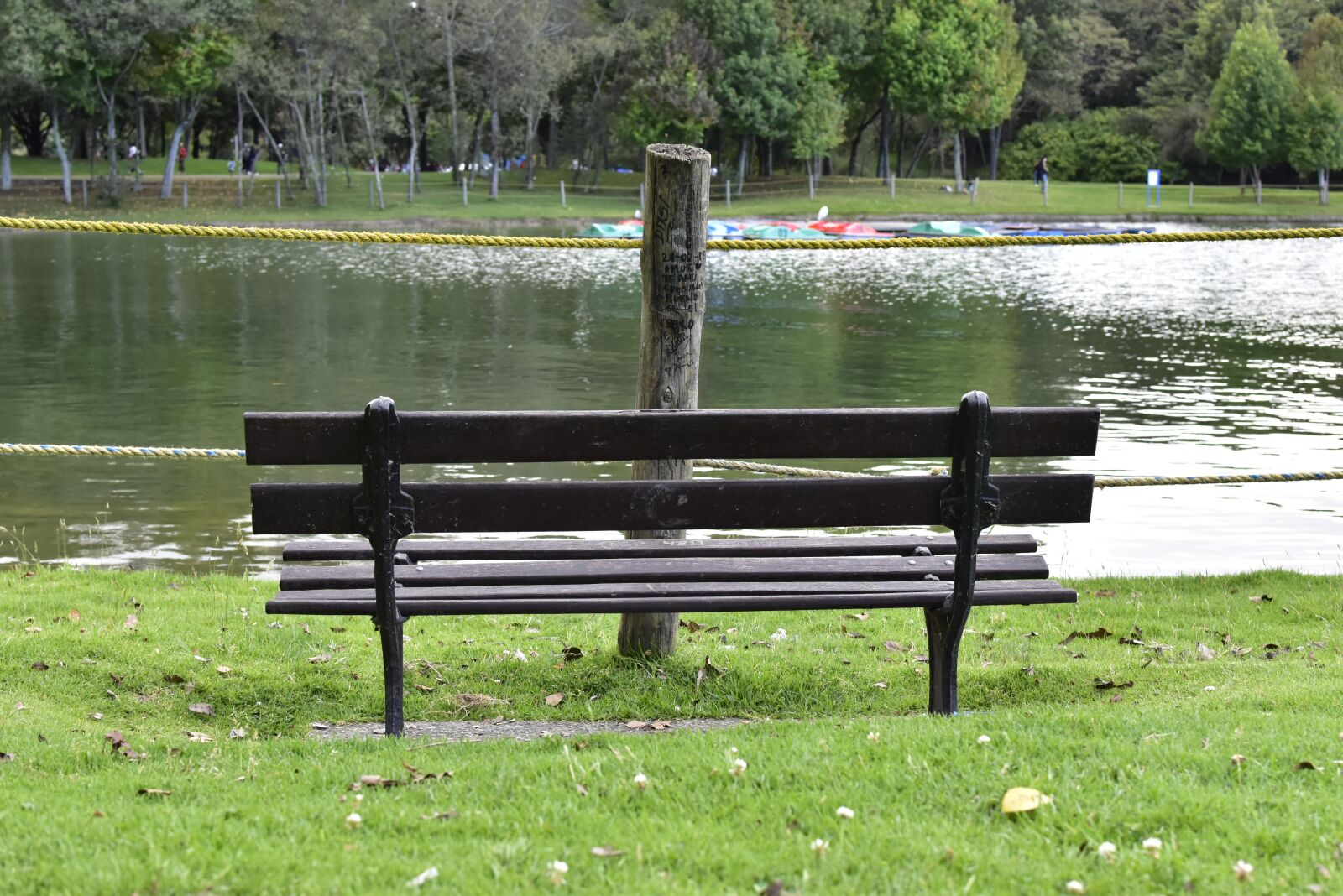 Nikon D5600 sample photo. Simon bolivar, park, bogota photography