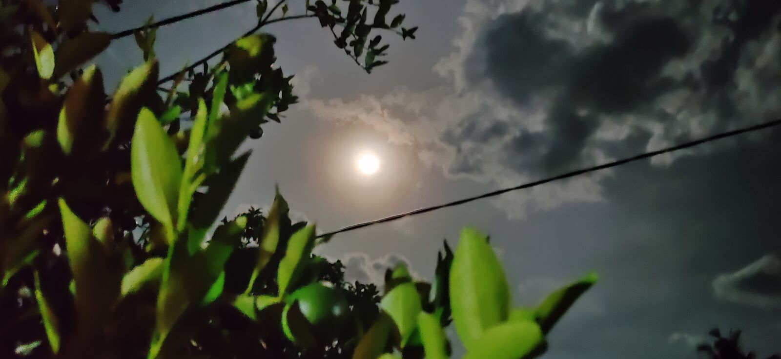 Realme XT sample photo. Moon, orange tree, night photography