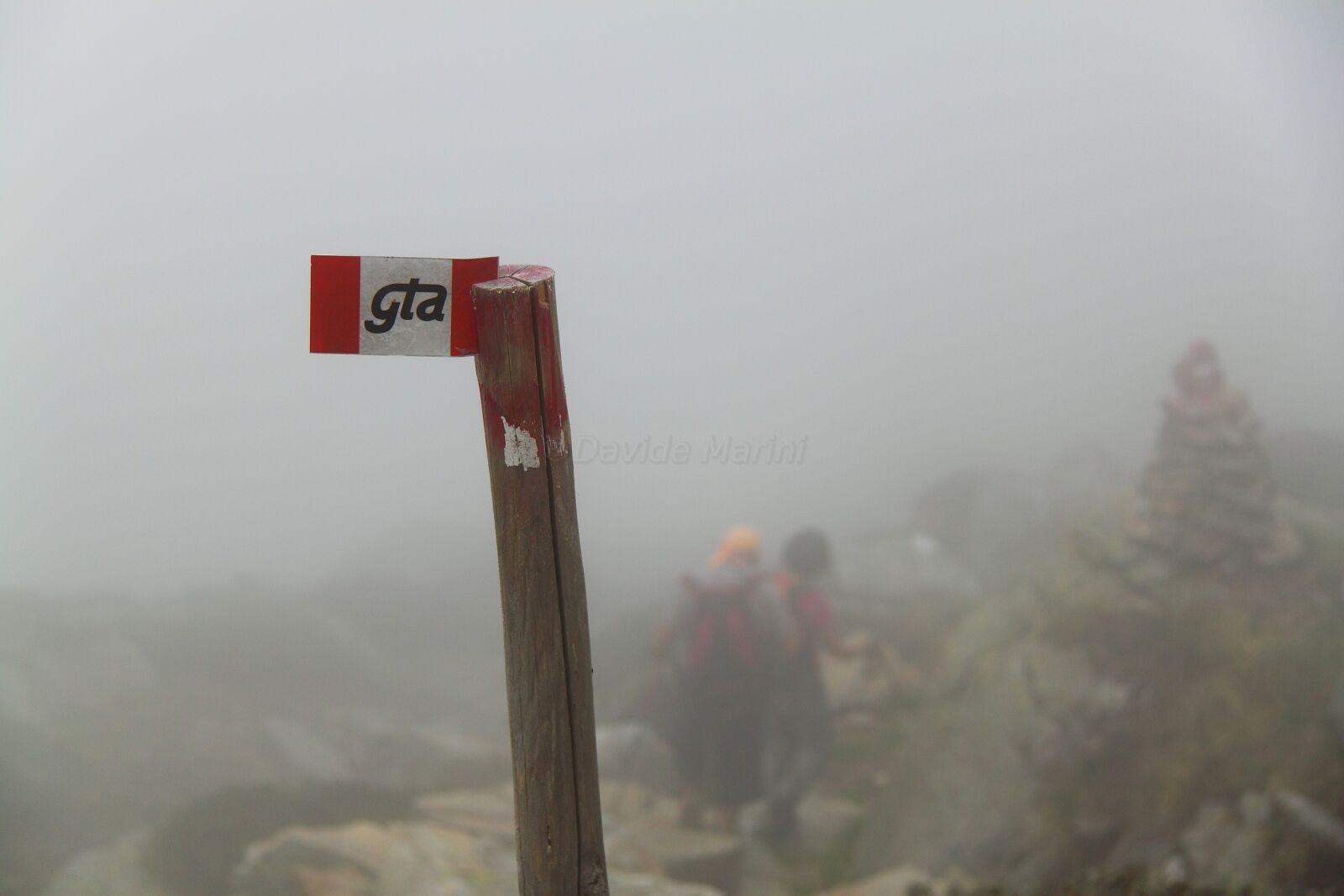 Canon EOS 500D (EOS Rebel T1i / EOS Kiss X3) sample photo. Fog, trail, waymark photography