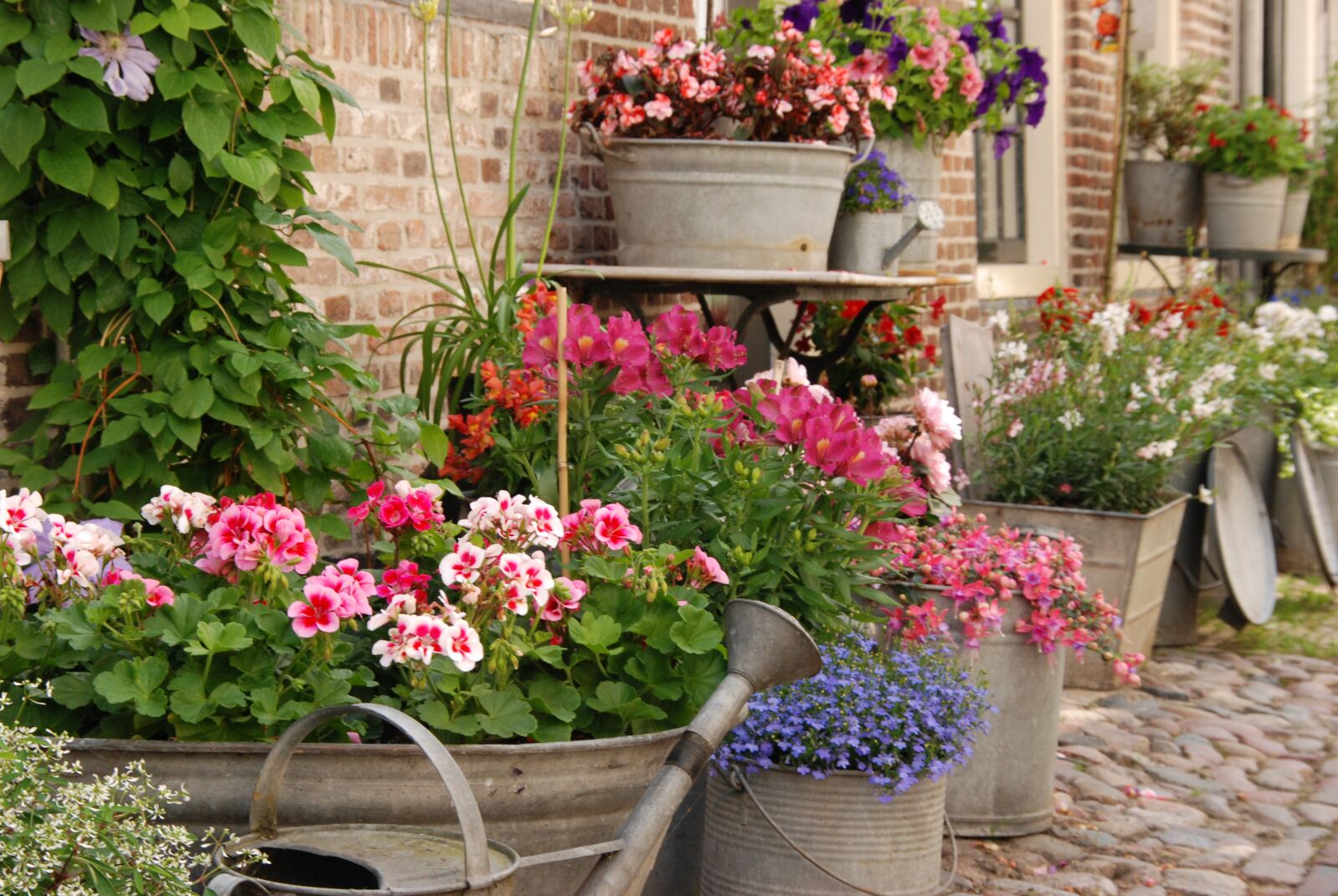Nikon D80 sample photo. Flowers, bucket, bowl photography