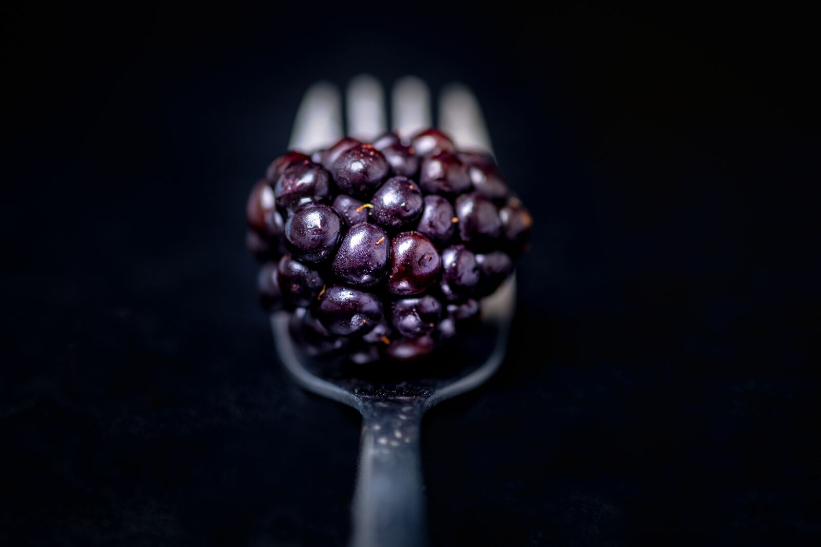 Sony a7 sample photo. Black berry, berry, healthy photography
