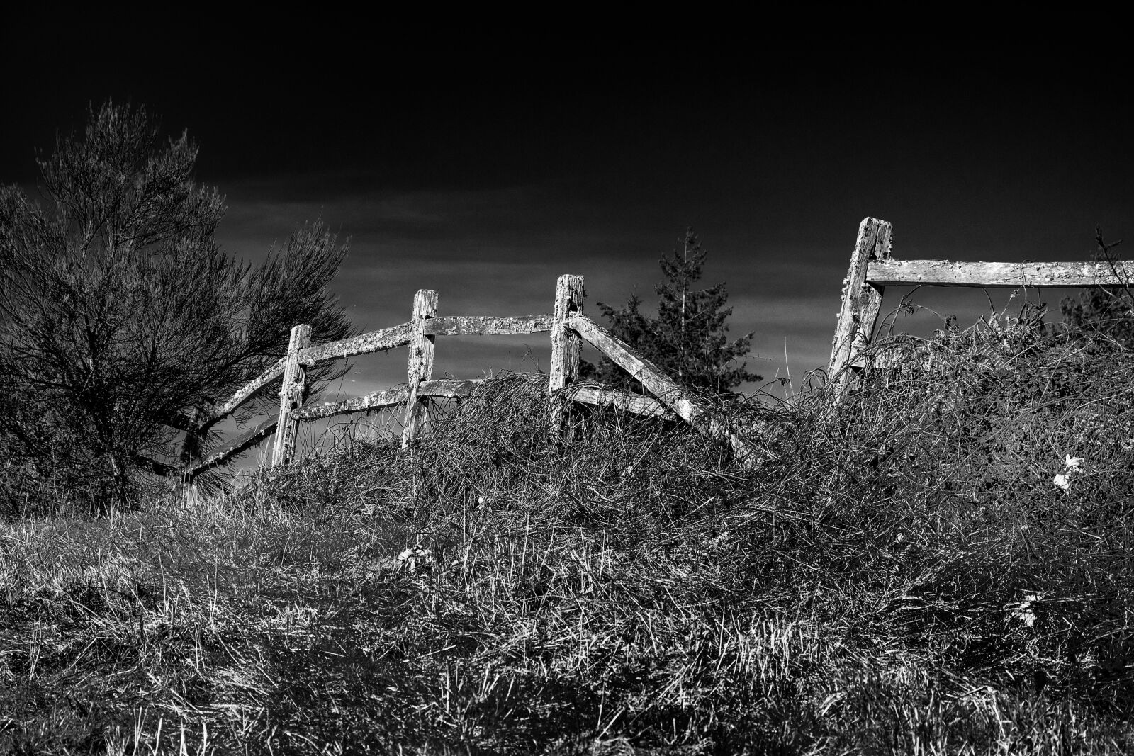 Nikon D7200 sample photo. Wooden fence, black and photography