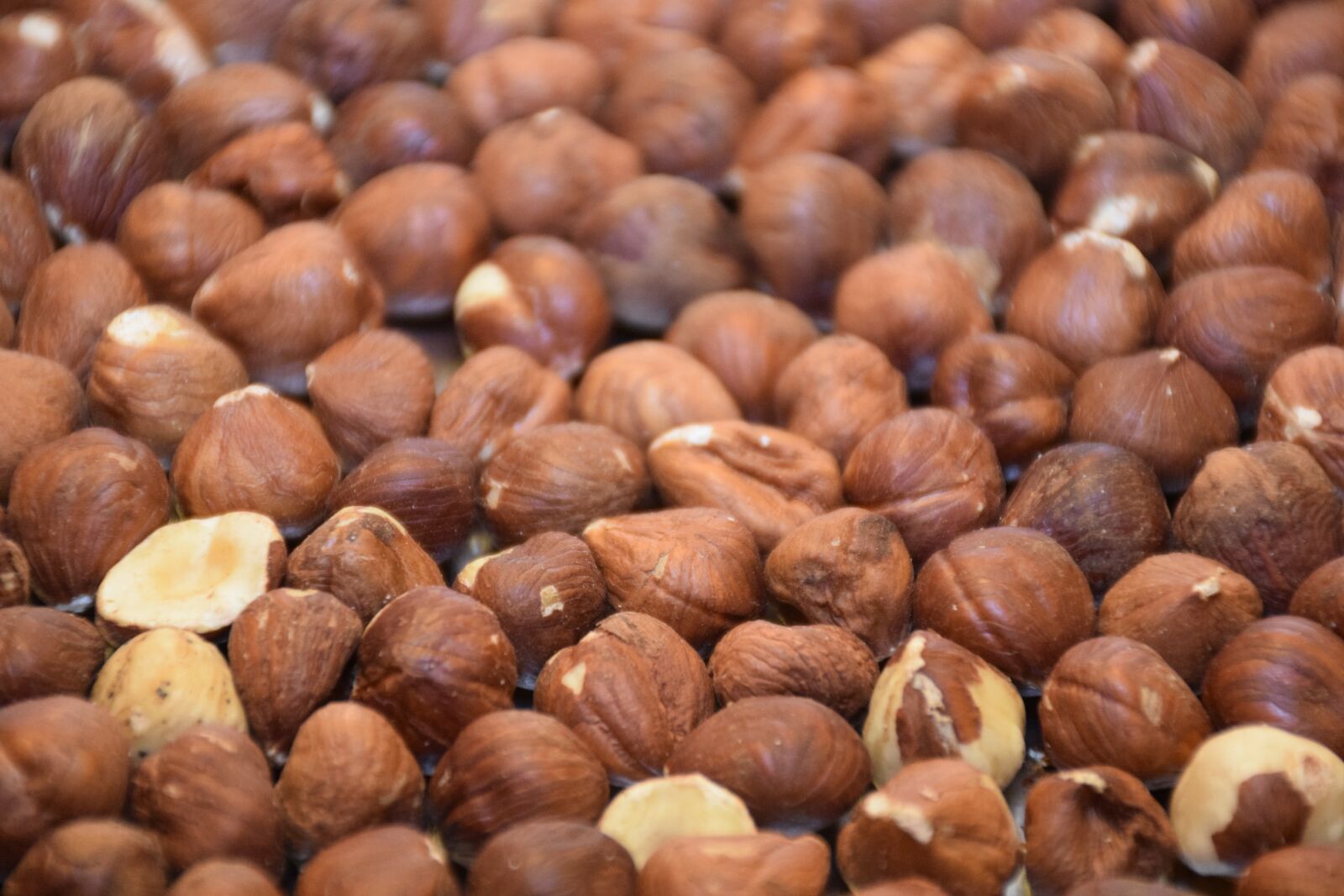 Nikon D3300 sample photo. Hazelnut, peanut, nut photography
