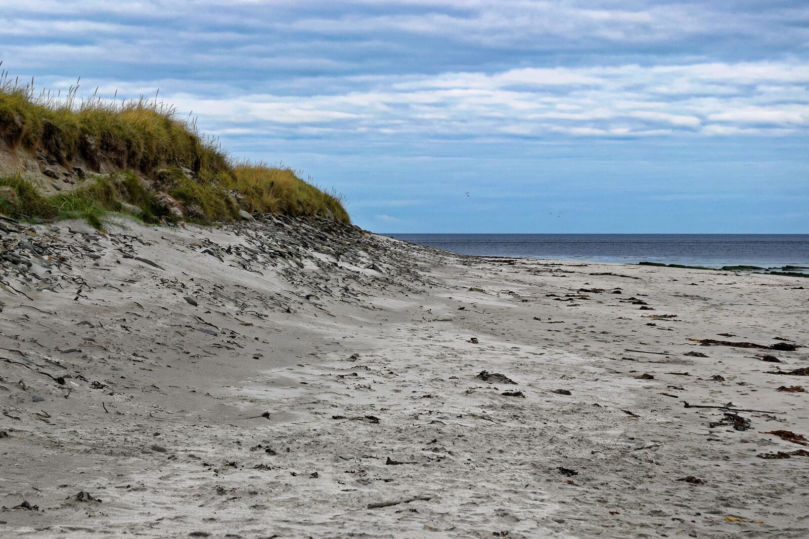 Nikon D3300 sample photo. Beach, sand, sea photography