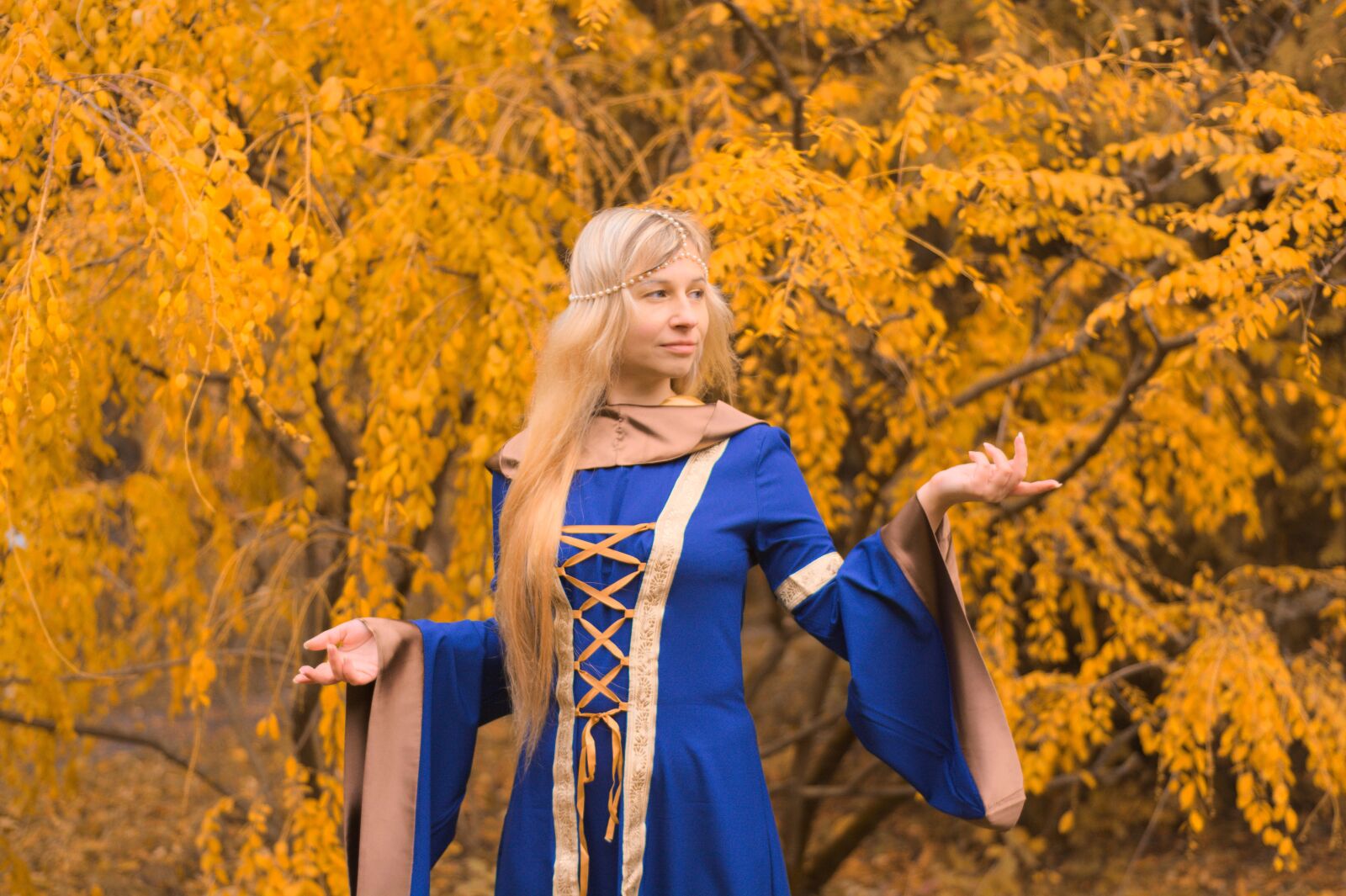 Nikon D7100 sample photo. The middle ages, autumn photography