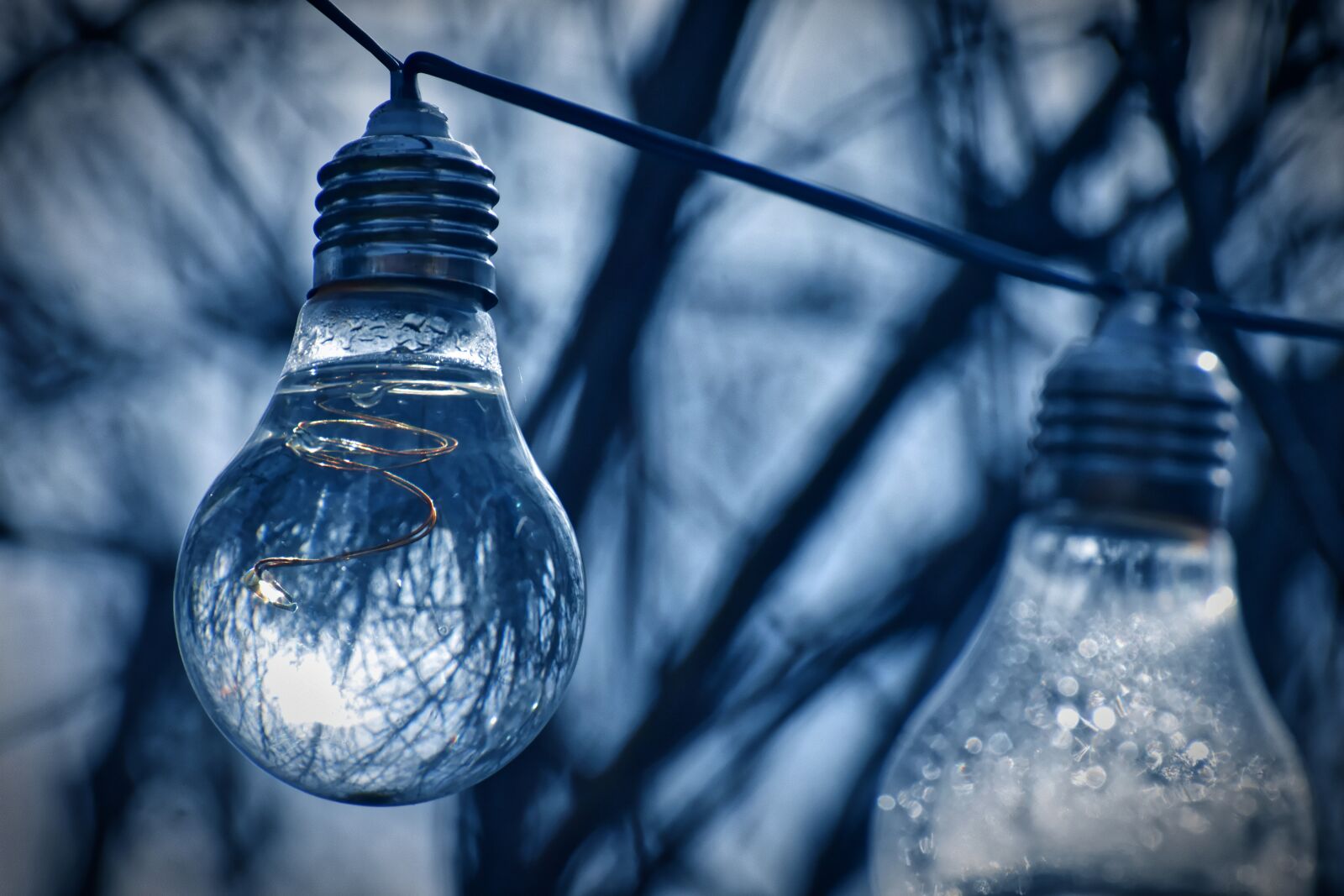 Nikon D7200 sample photo. Light bulb, water, energy photography