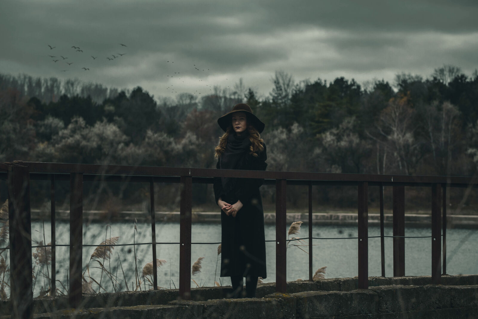Canon EOS 6D sample photo. Cloud, dark, darkness, forest photography