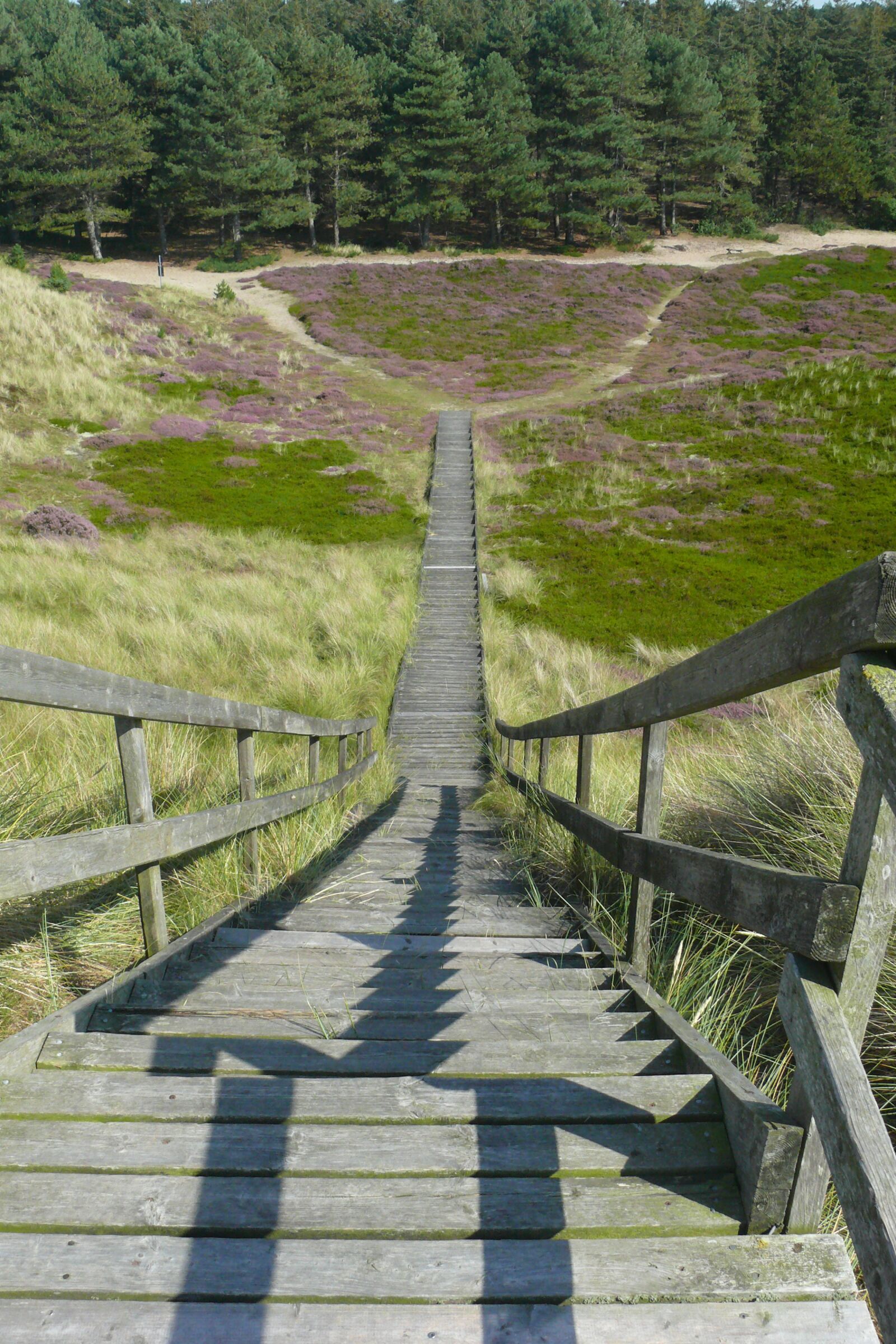 Panasonic DMC-FZ50 sample photo. Stairs, wood stairs, downhill photography