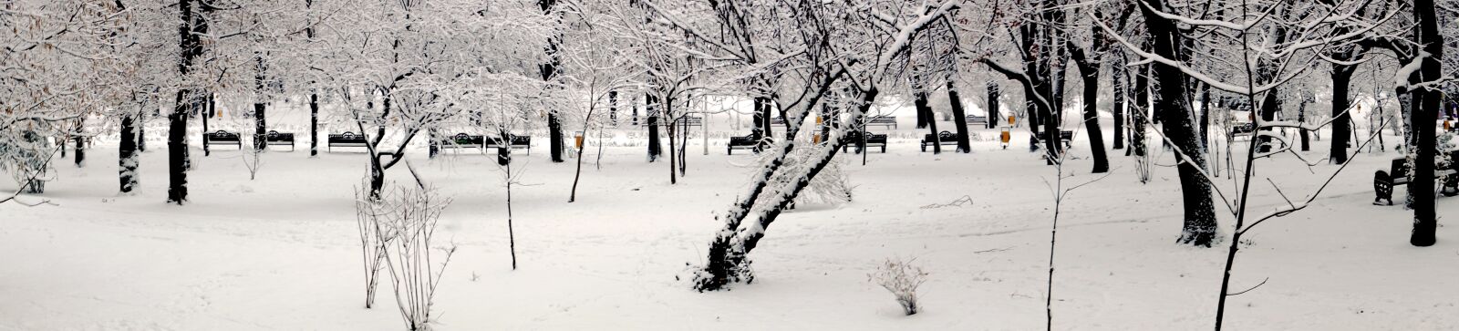 Sony SLT-A77 + Sony DT 16-50mm F2.8 SSM sample photo. Panorama, winter, park photography