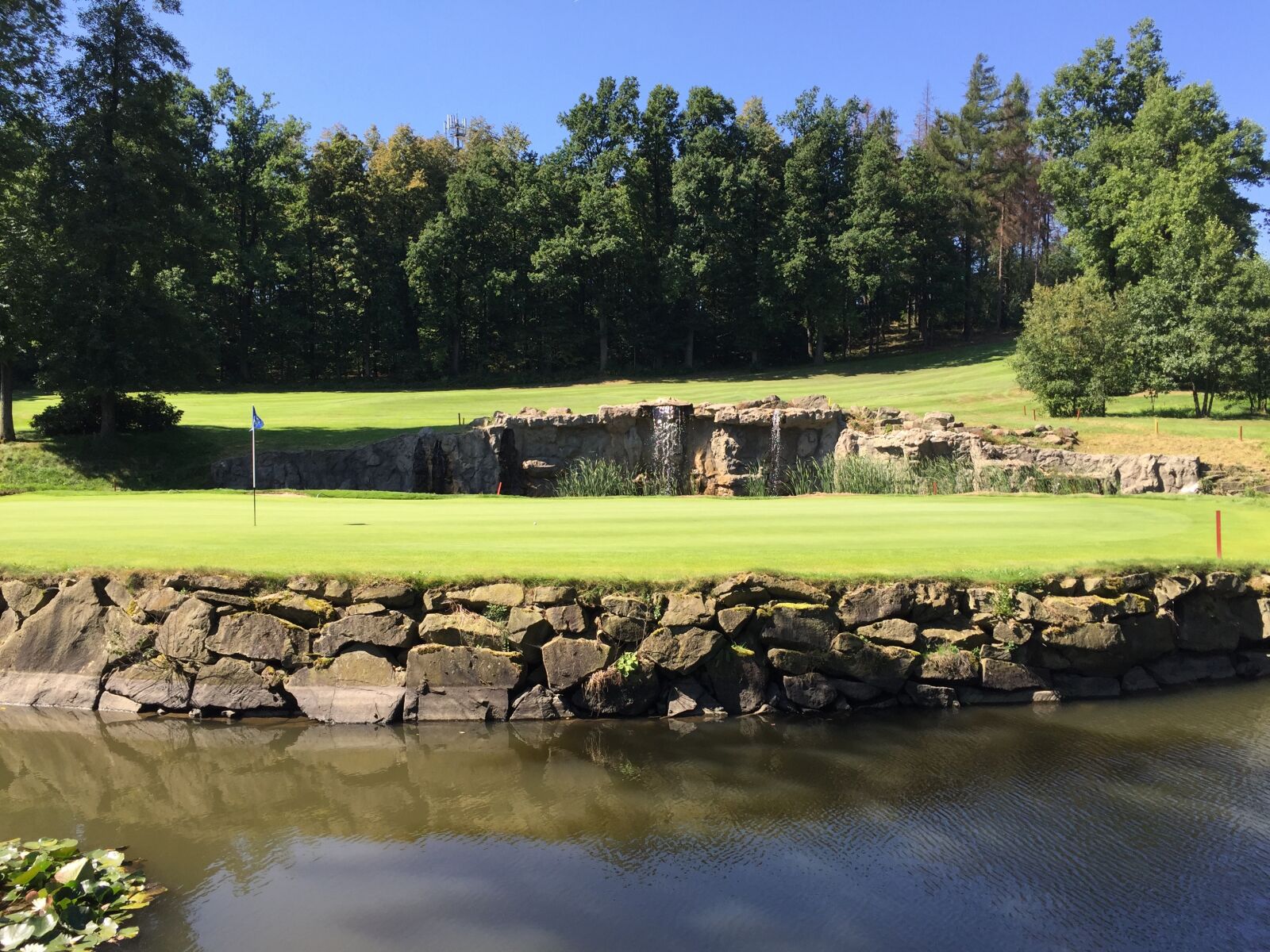 Apple iPhone 6 sample photo. Golf, summer, green photography