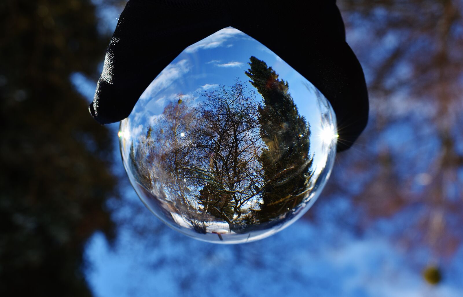 Nikon D7200 sample photo. Glass ball, trees, transparent photography