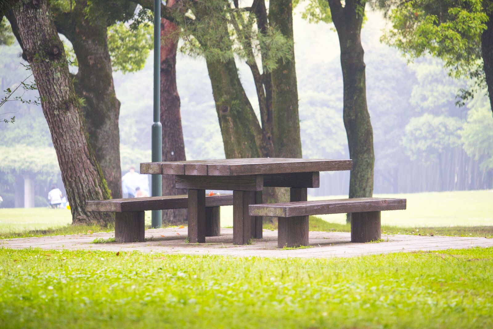 Canon EOS 60D + Canon EF-S 55-250mm F4-5.6 IS STM sample photo. Park, bench, outdoors photography