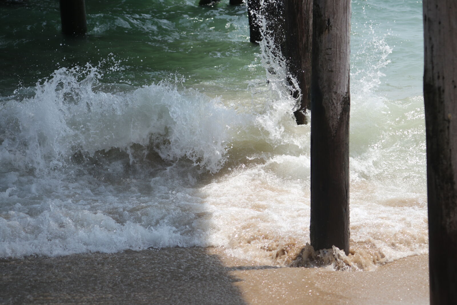 Canon EOS M5 sample photo