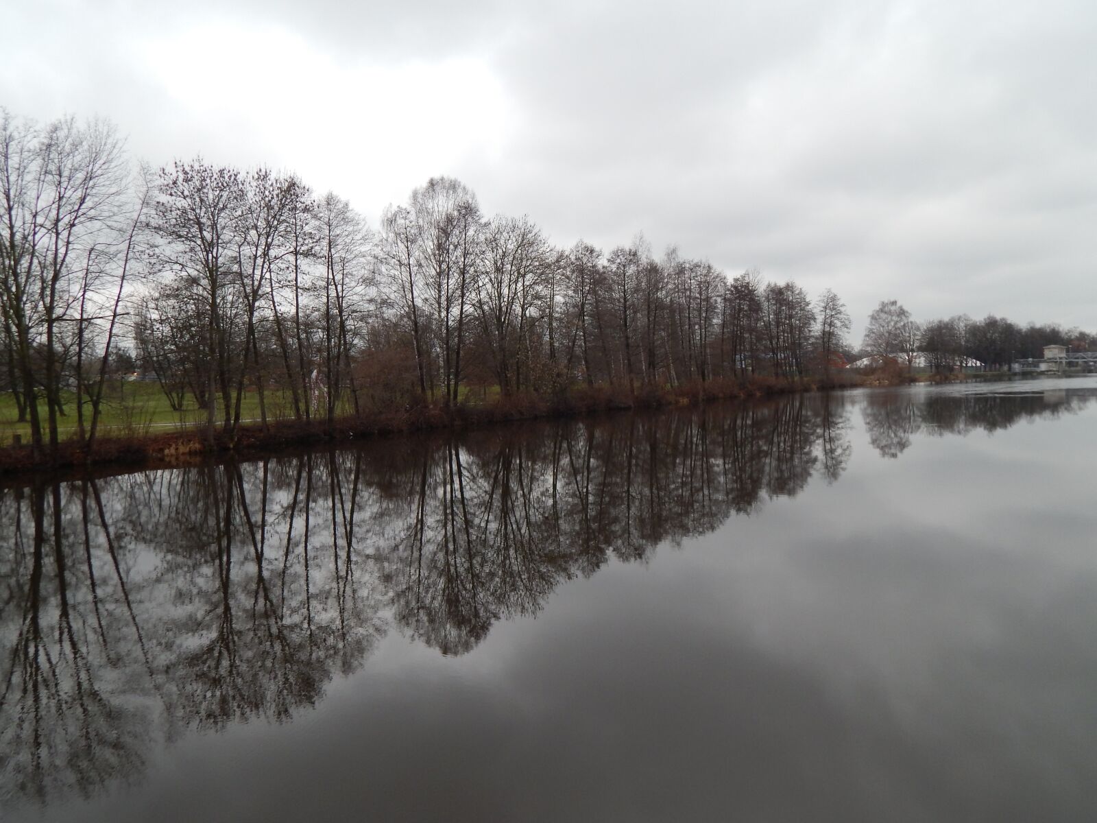 Nikon Coolpix L820 sample photo. Trees, mirror, river photography