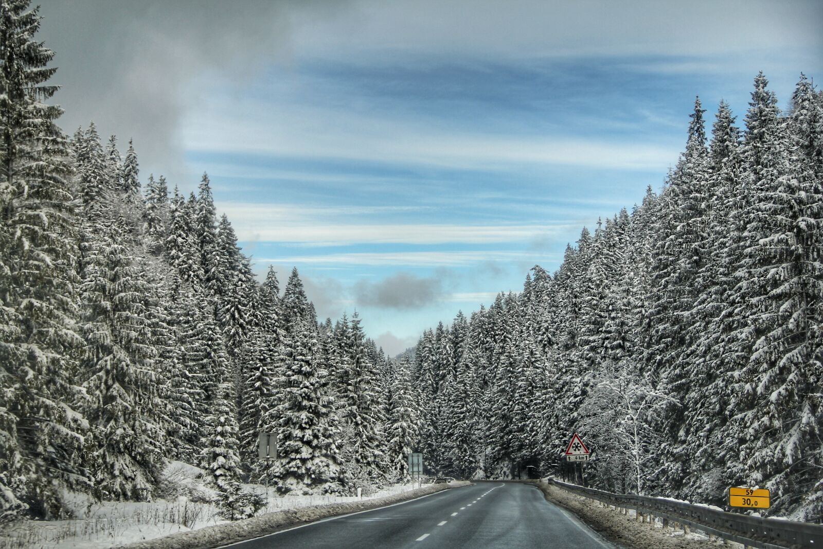 Canon EOS 60D sample photo. Blue, sky, forest, pine photography