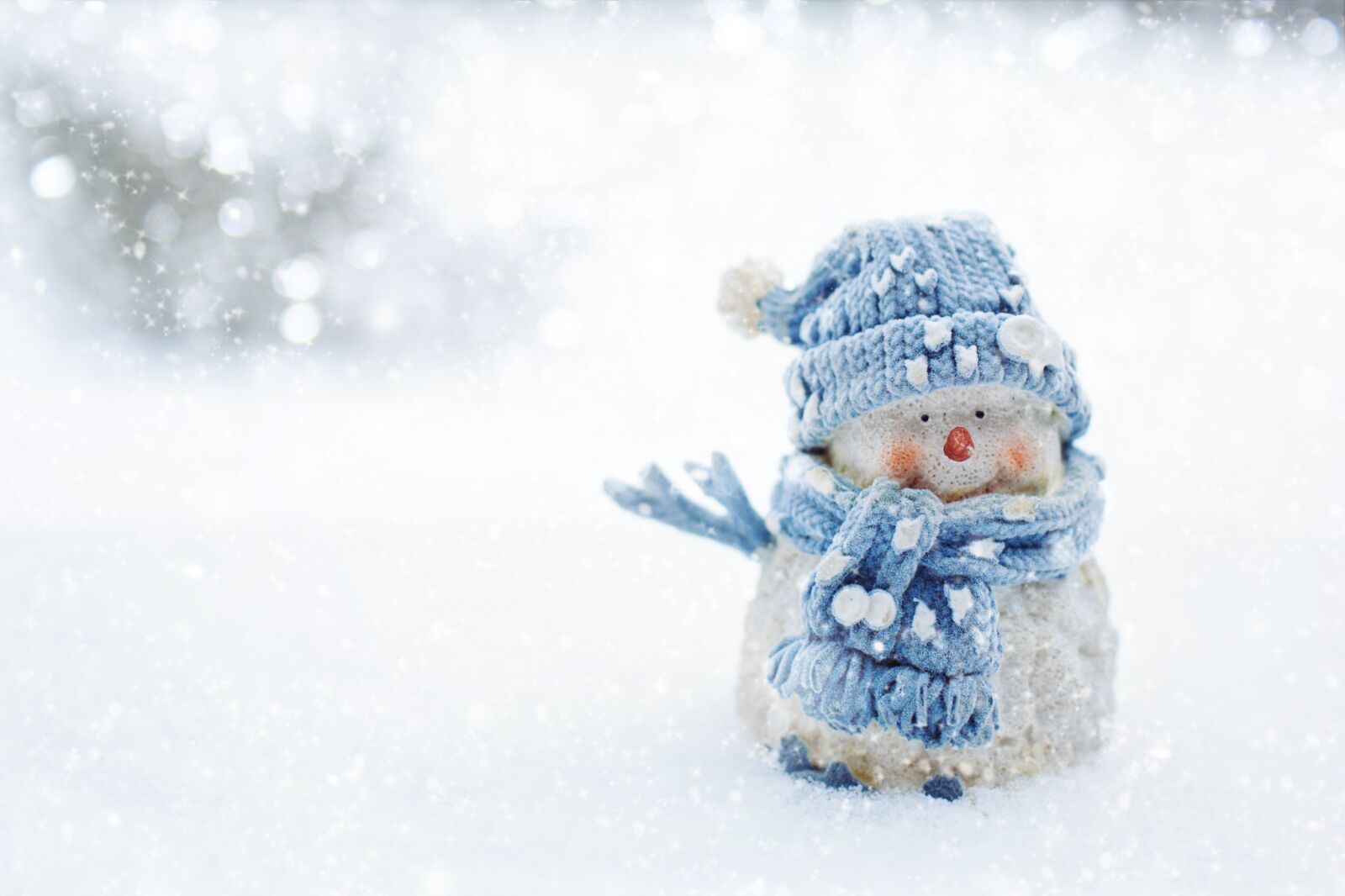 Canon EF 50mm F1.4 USM sample photo. Snowman, winter, snow photography