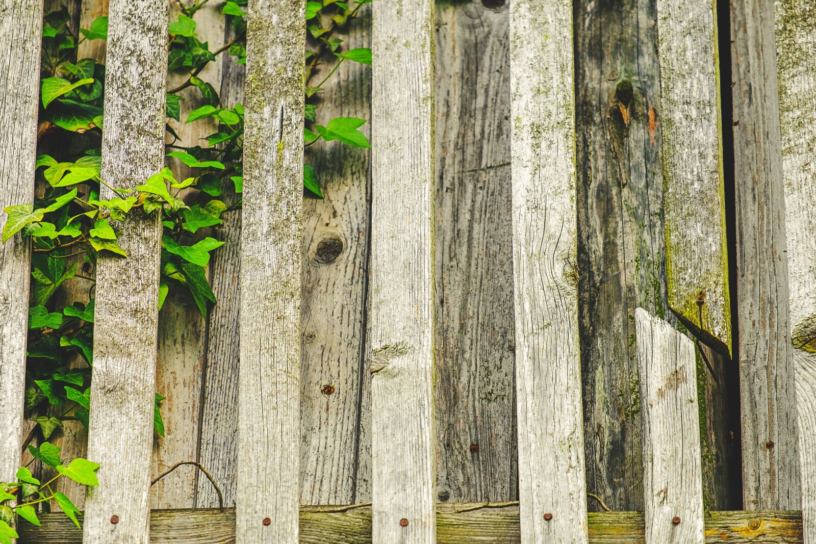 Fujifilm XF 55-200mm F3.5-4.8 R LM OIS sample photo. Boards, wall boards, wall photography